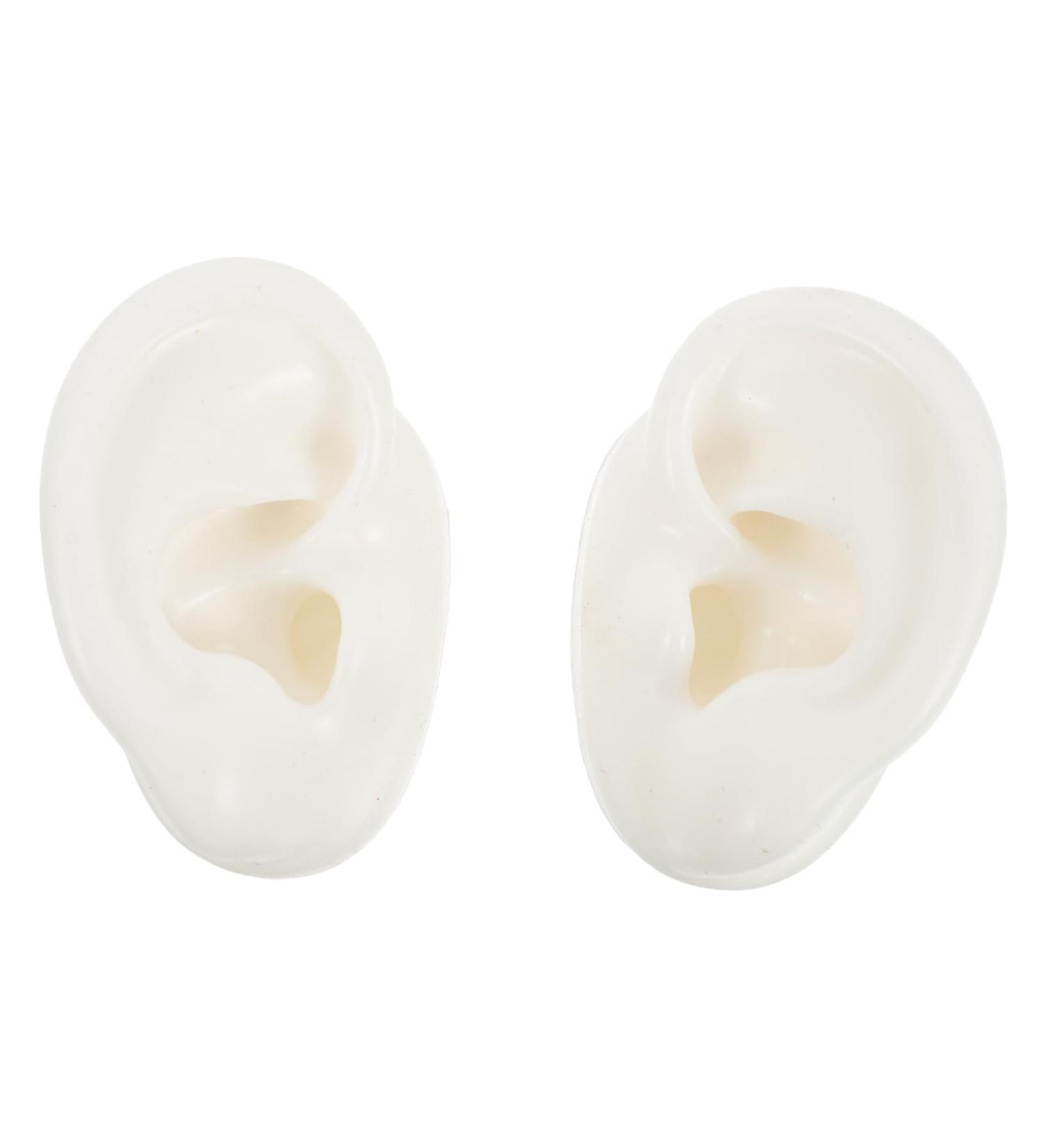 Artificial Ear Models - 3 Pairs Simulation Ear Mold for Jewelry Display & Studs Wearing | International Shipping Available - Buy Online on GoSupps.com