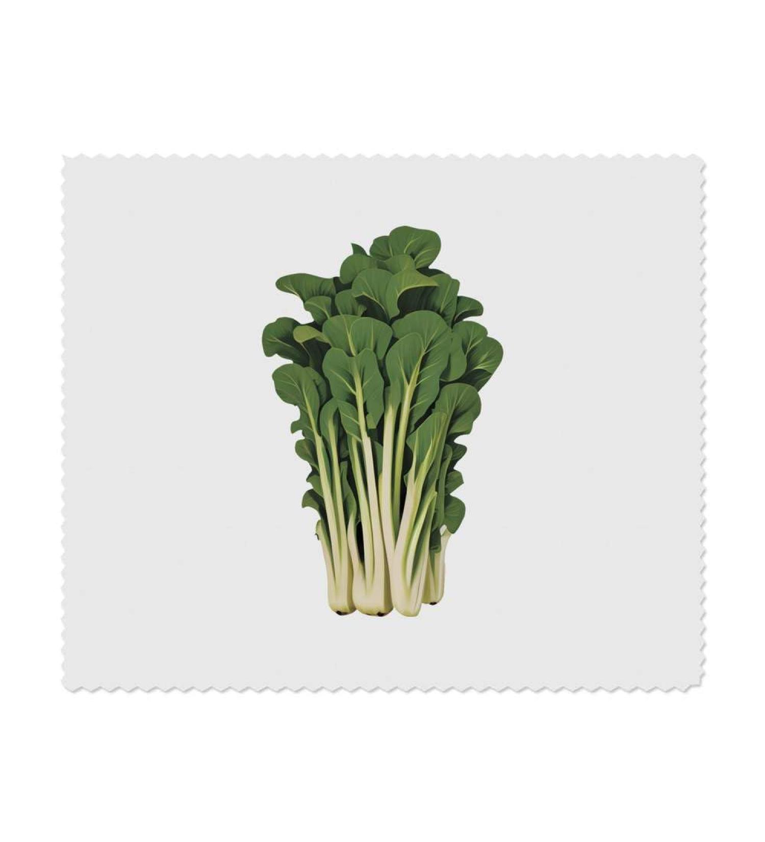 Buy 2 Pak Choi Microfiber Lens Cleaning Cloths - Premium Quality for Glasses - International Shipping Available - Buy Online on GoSupps.com