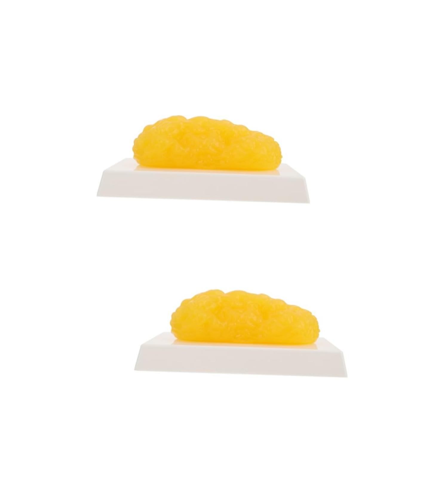 2pcs Fat Model Models Manikin Sugar Bowl 1 Pound Body Fat Replica Human Body Module - Buy Online on GoSupps.com