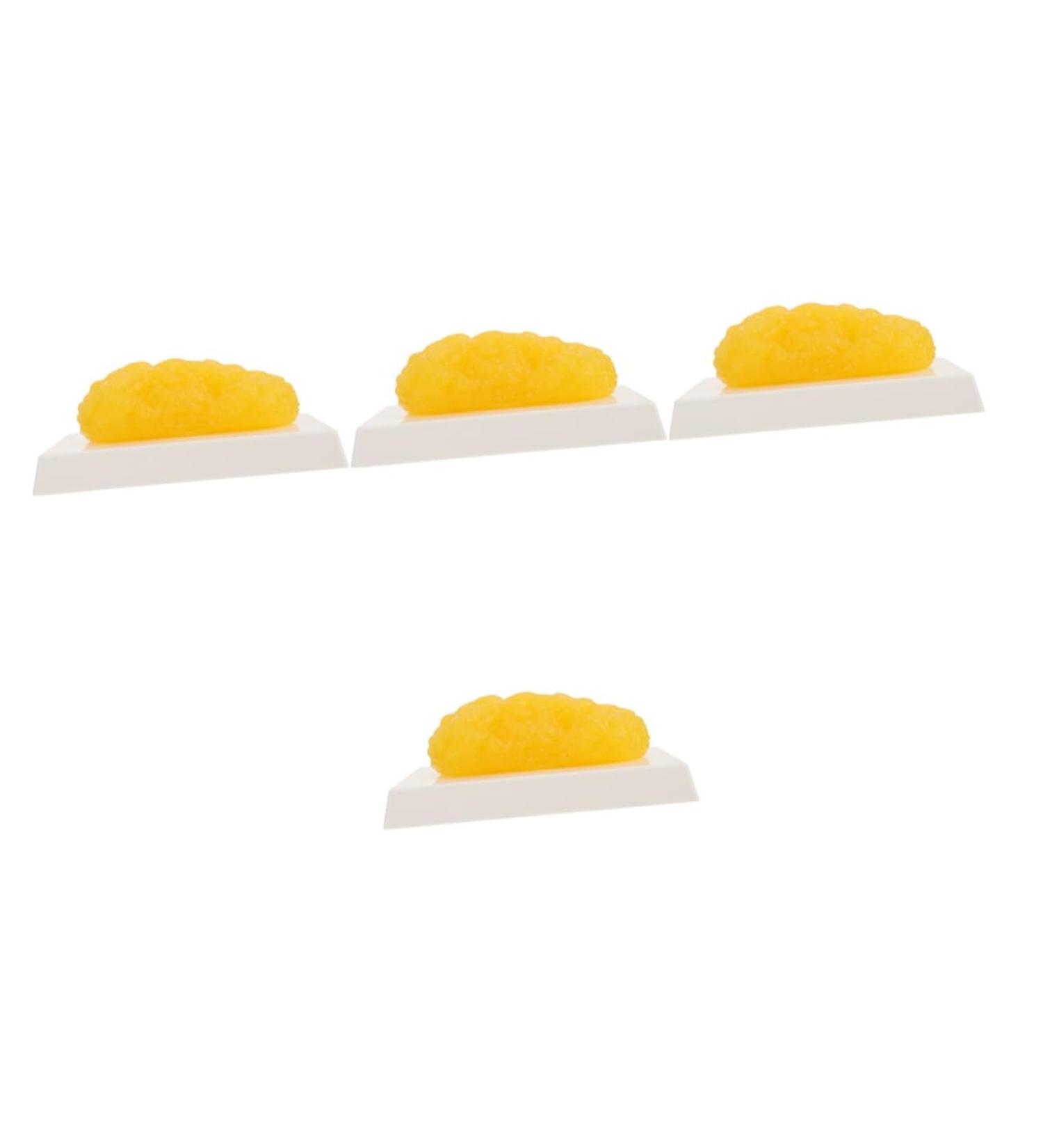 Gatuida Anatomical Fat 4pcs Fat Model Models Human Body Fat Plastic Body Fat Human Fat 1 Pound Demonstration Device Module - Buy Online on GoSupps.com