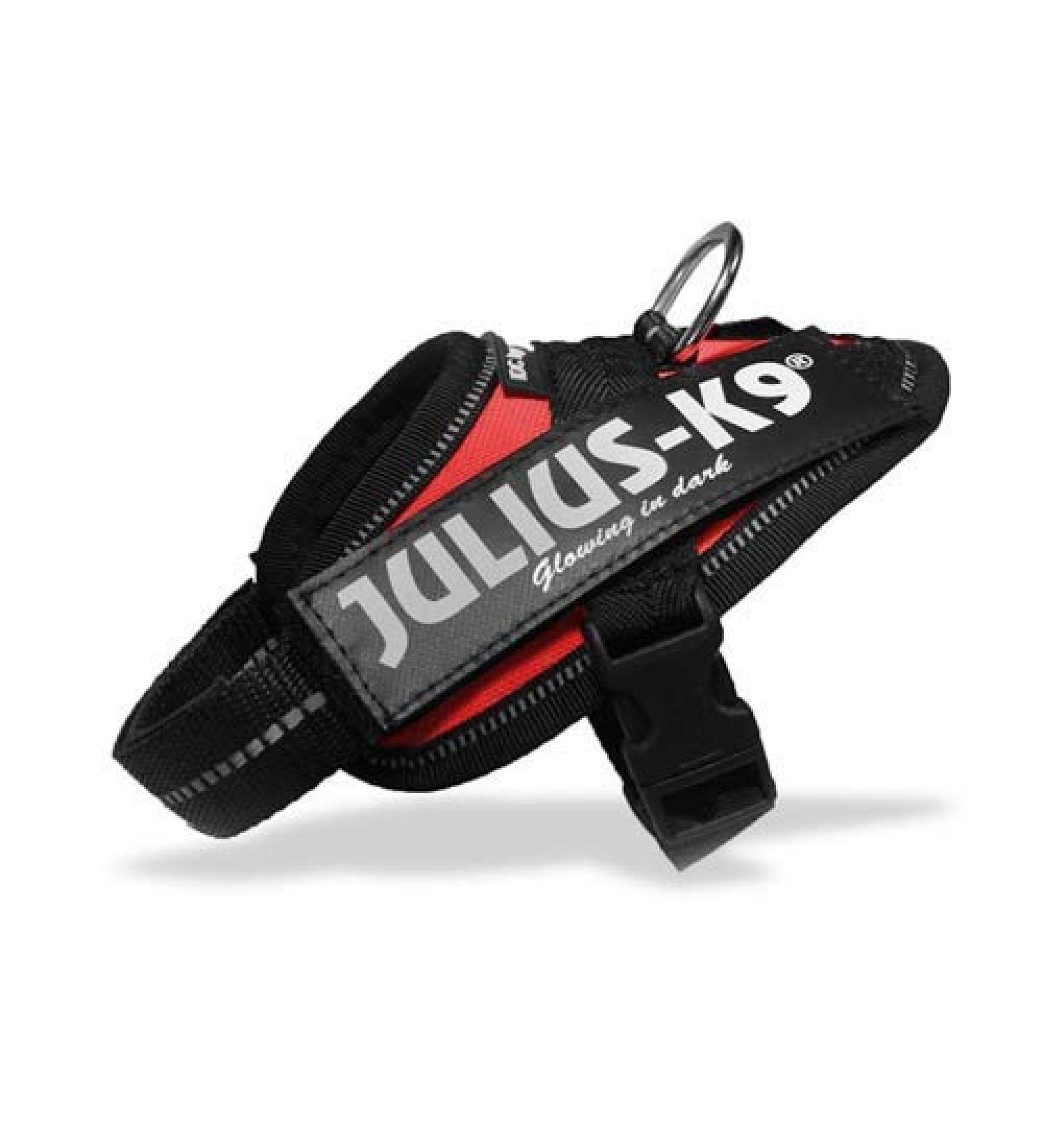 Shop Canicaprice Julius K9 Power IDC Red - Personalize with 2 Labels | Baby 2 (33-45cm) - International Shipping Available - Buy Online on GoSupps.com
