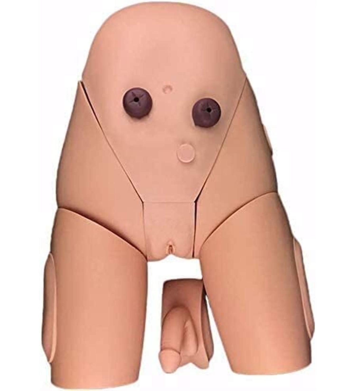 Buy Catheterization Model - Male & Female Urethral Simulator Kit for Medical Training | International Shipping - Buy Online on GoSupps.com