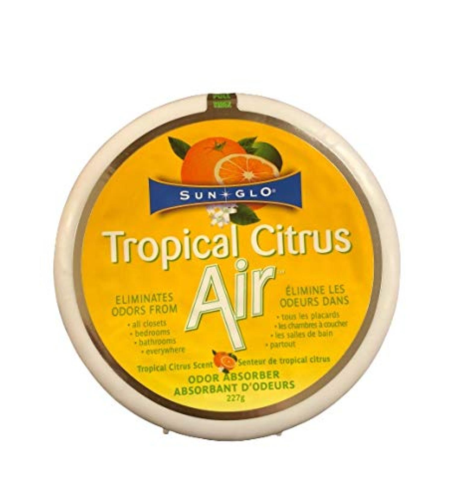 Tropical Citrus Air Odor Absorber - Case of 12 - Buy Online on GoSupps.com