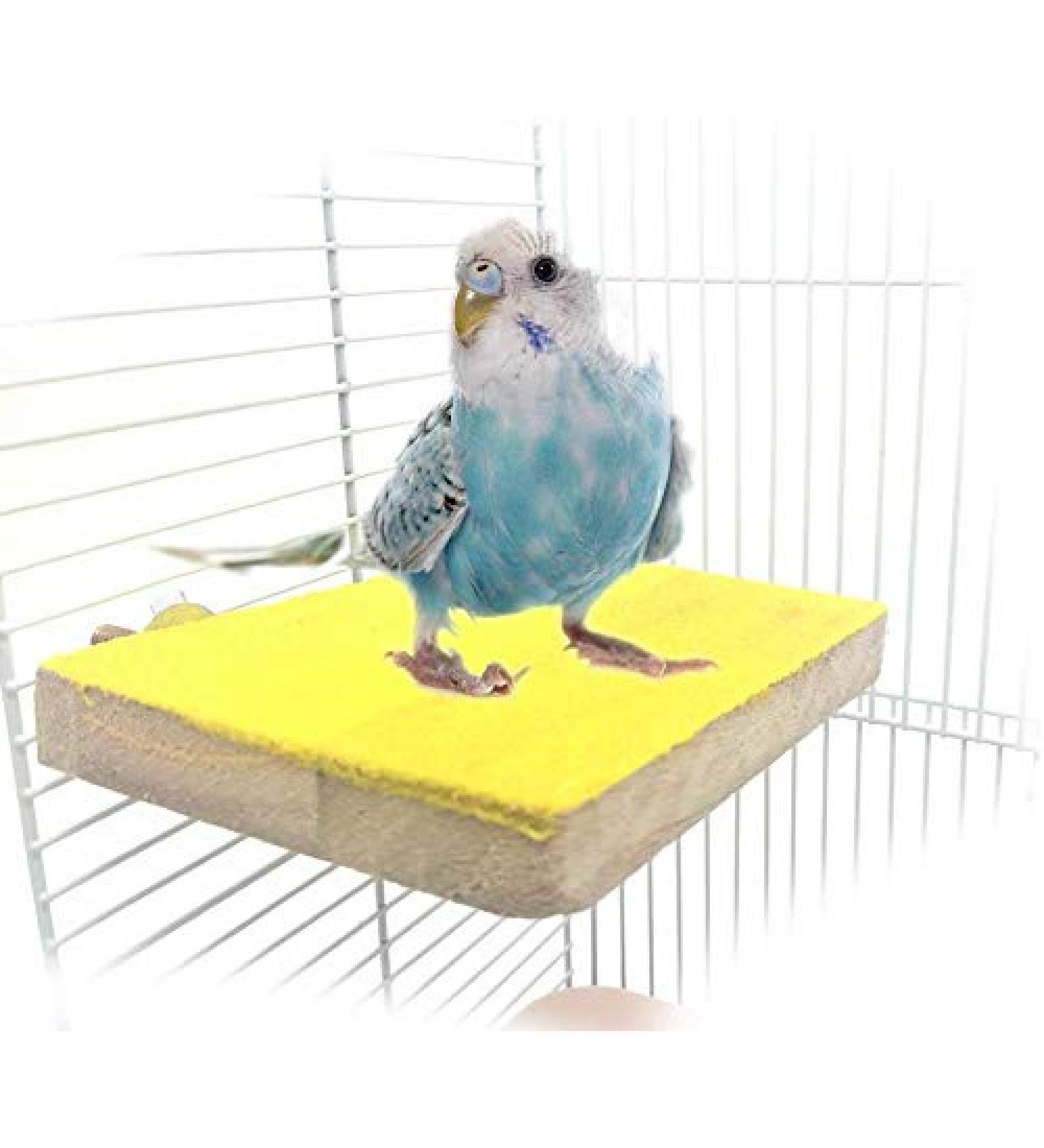 Colorful Bird Perch Stand Platform for Pet Parrot, Budgies, Cockatiels, Conure - Natural Wood Playground for Paw Grinding & Exercise - Rat Mouse Cage Accessories - Buy Online on GoSupps.com