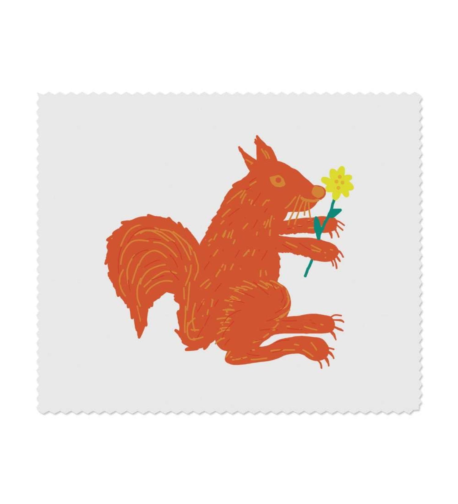 Buy LC00021320 Microfiber Glasses Cleaning Cloths - Squirrel & Flower Design 2 Pack | Fast International Shipping - Buy Online on GoSupps.com