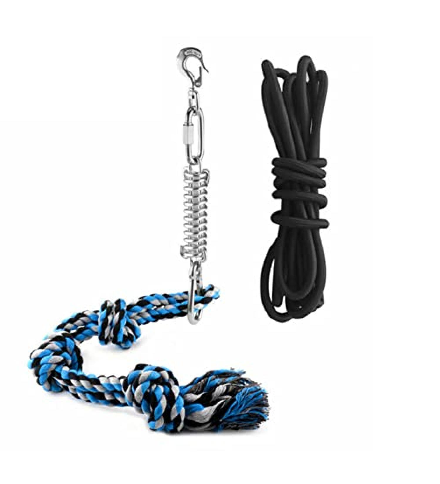 Spring Pole Dog Rope Toys Outdoor Stainless Steel Spring Pole Hanging Bungee Exercise Dog Rope Toys Best for Tug of War Bite Training Pull Exercise Solo Play (Standard Edition) - Buy Online on GoSupps.com