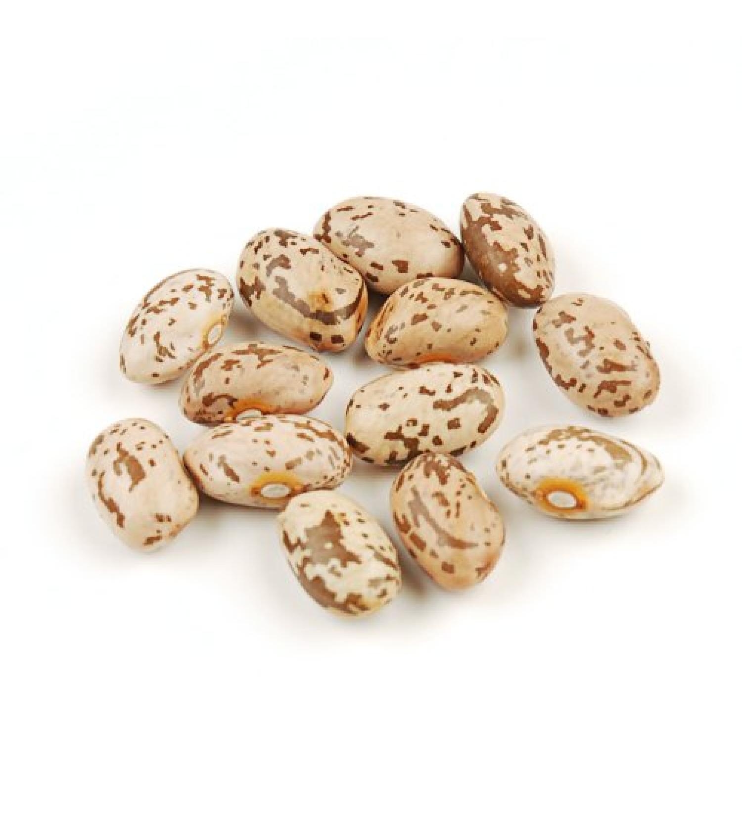 Organic Pinto Beans, 10 Pound Box