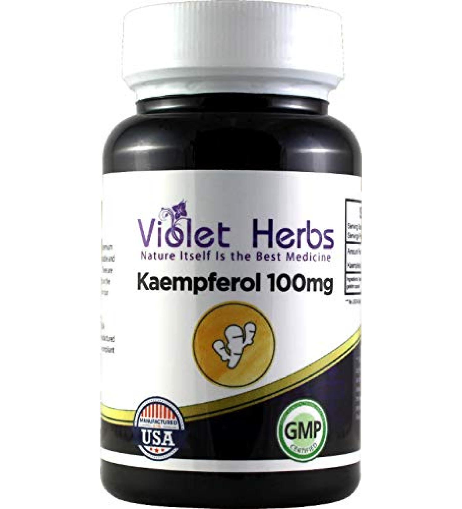 Kaempferol 100mg 60 Count Bottle Capsule Kaempferia Galangal Rice Flour Magnesium Sterate Gelatin Capsule
