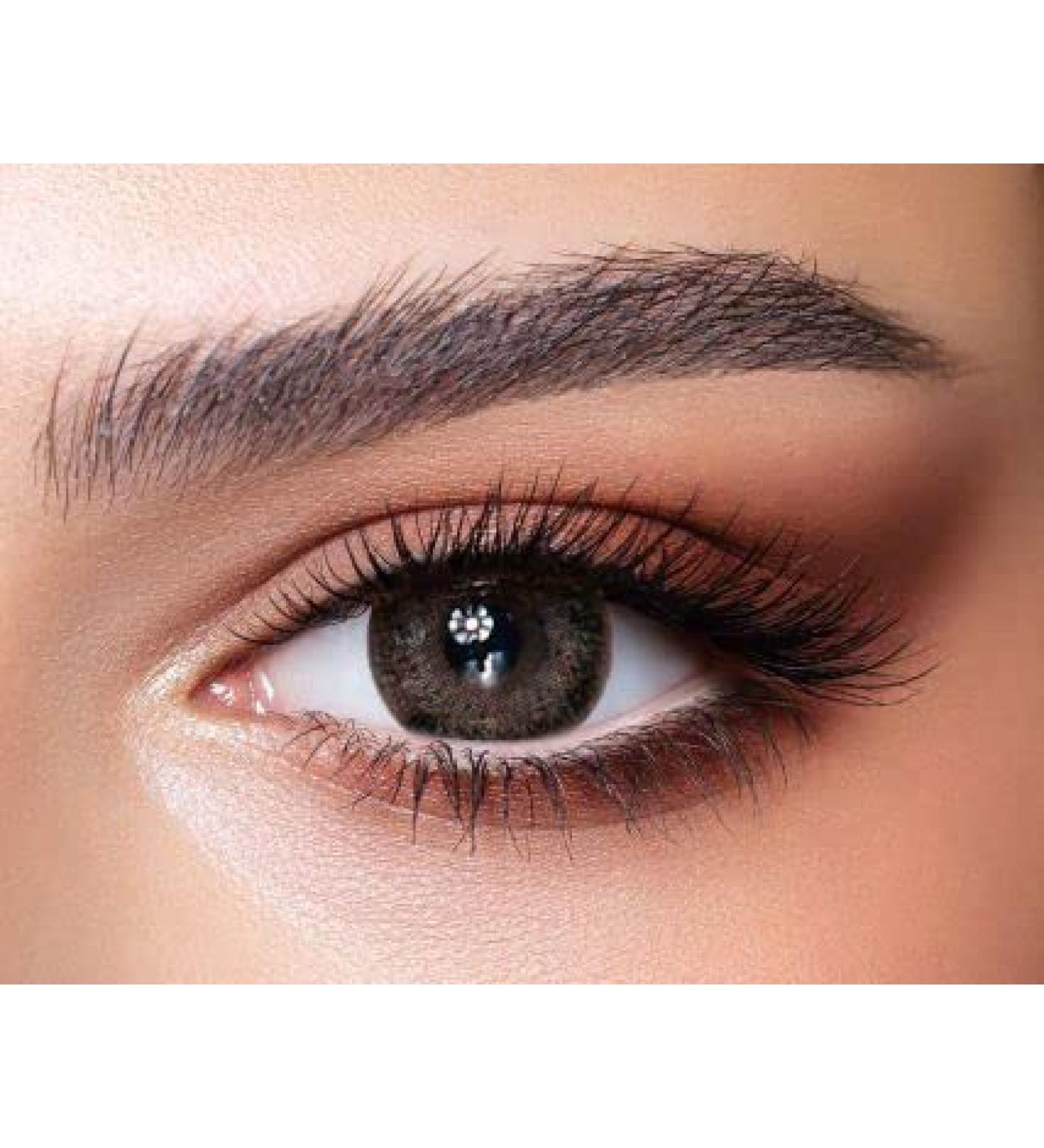 Bella 1-Day Colored Contact Lenses in Ash Brown - Natural Anthracite Color for Dark Eyes Dioptre -0.00 10x Daily Lenses - Buy Online on GoSupps.com