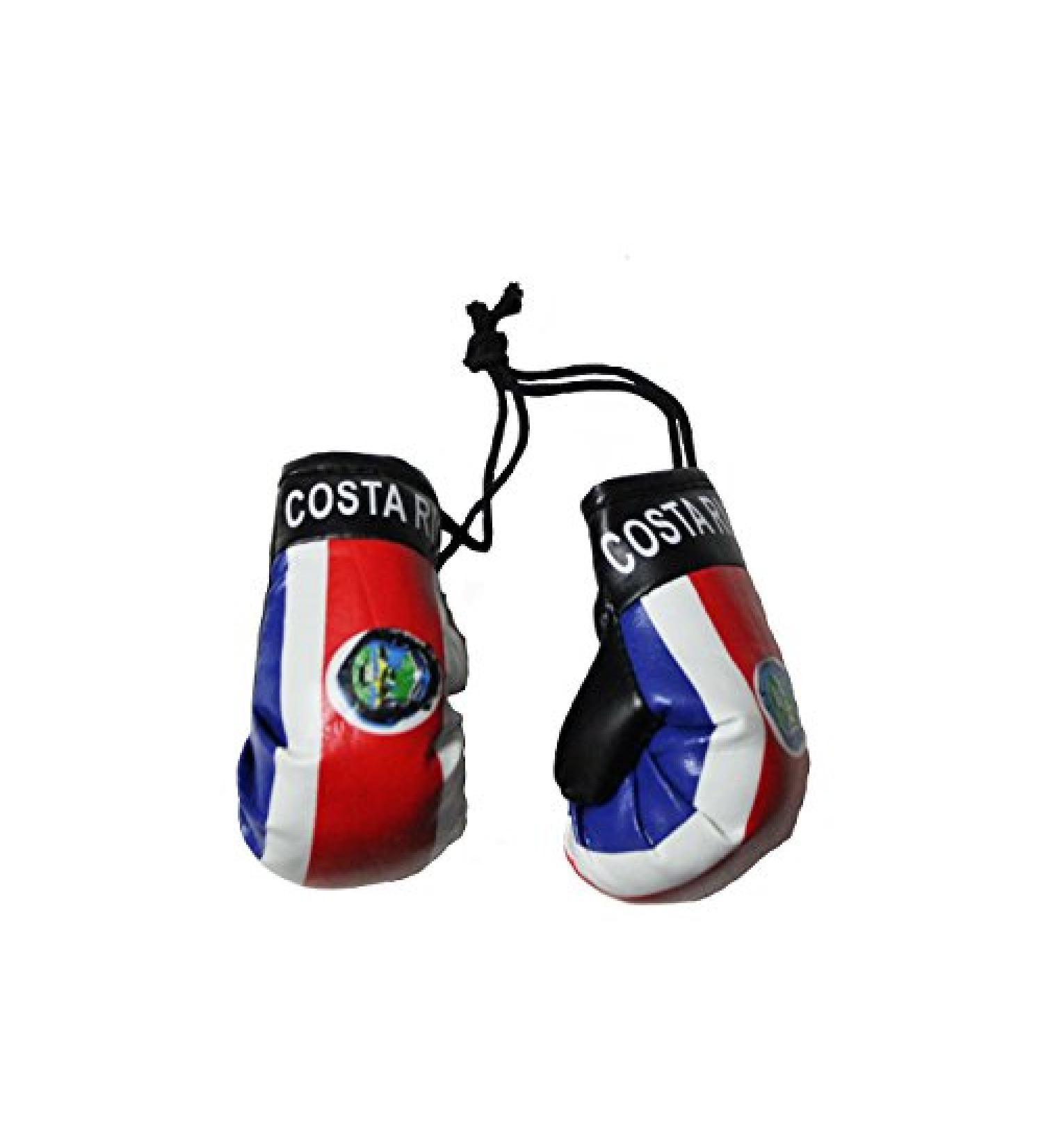 SUPERDAVES SUPERSTORE Costa RICA Country Flag Mini Boxing Gloves..New