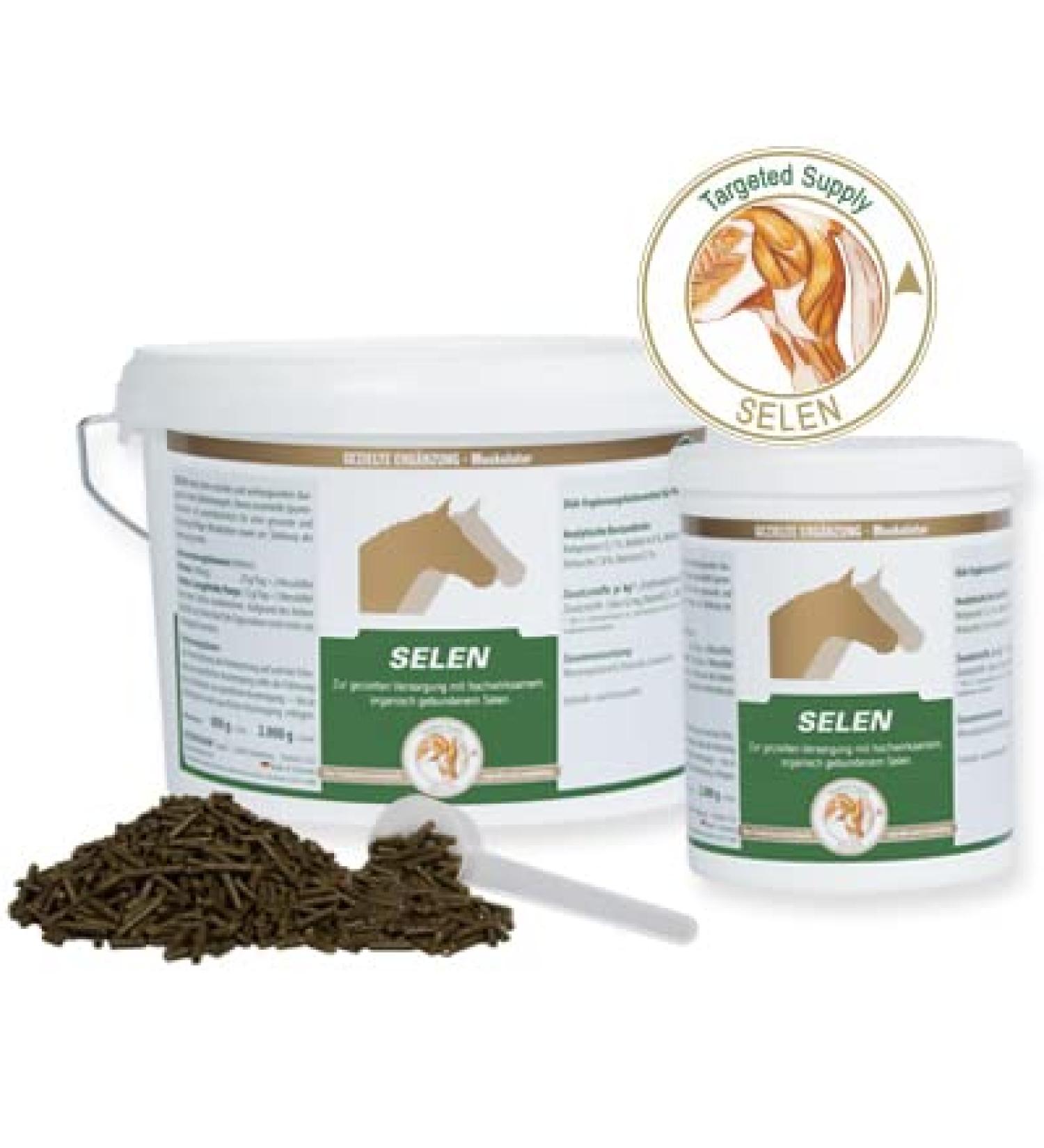 Vetripharm Equipower Selen 800g