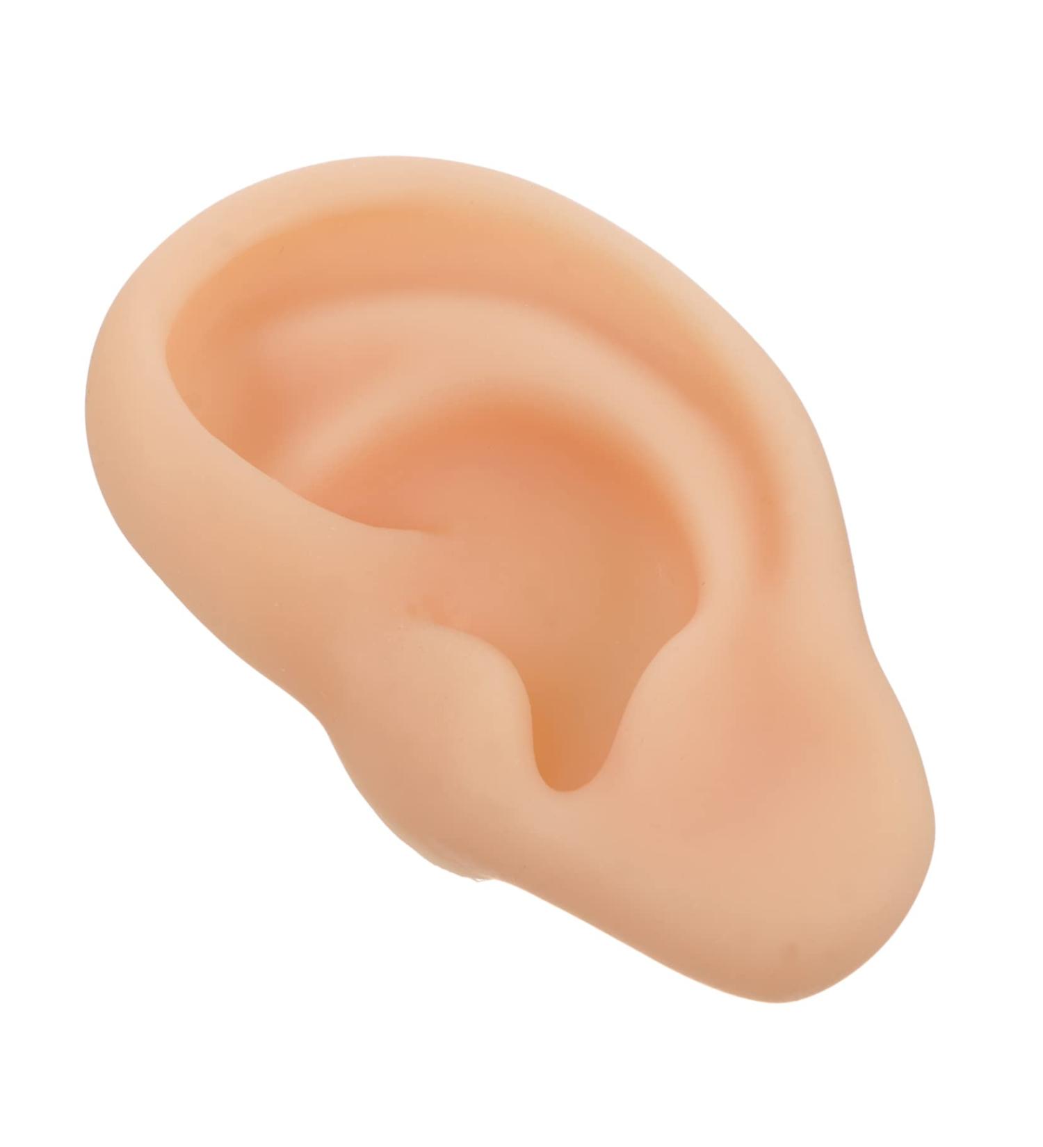 FOMIYES Silicone Ear Practice Model - Realistic Fake Ears for Teaching & Medical Training | Ideal for Simulated Ear Practice - Buy Online on GoSupps.com