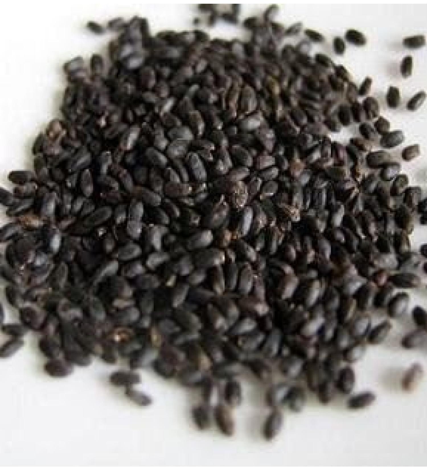 Graines de basilic - 100 g