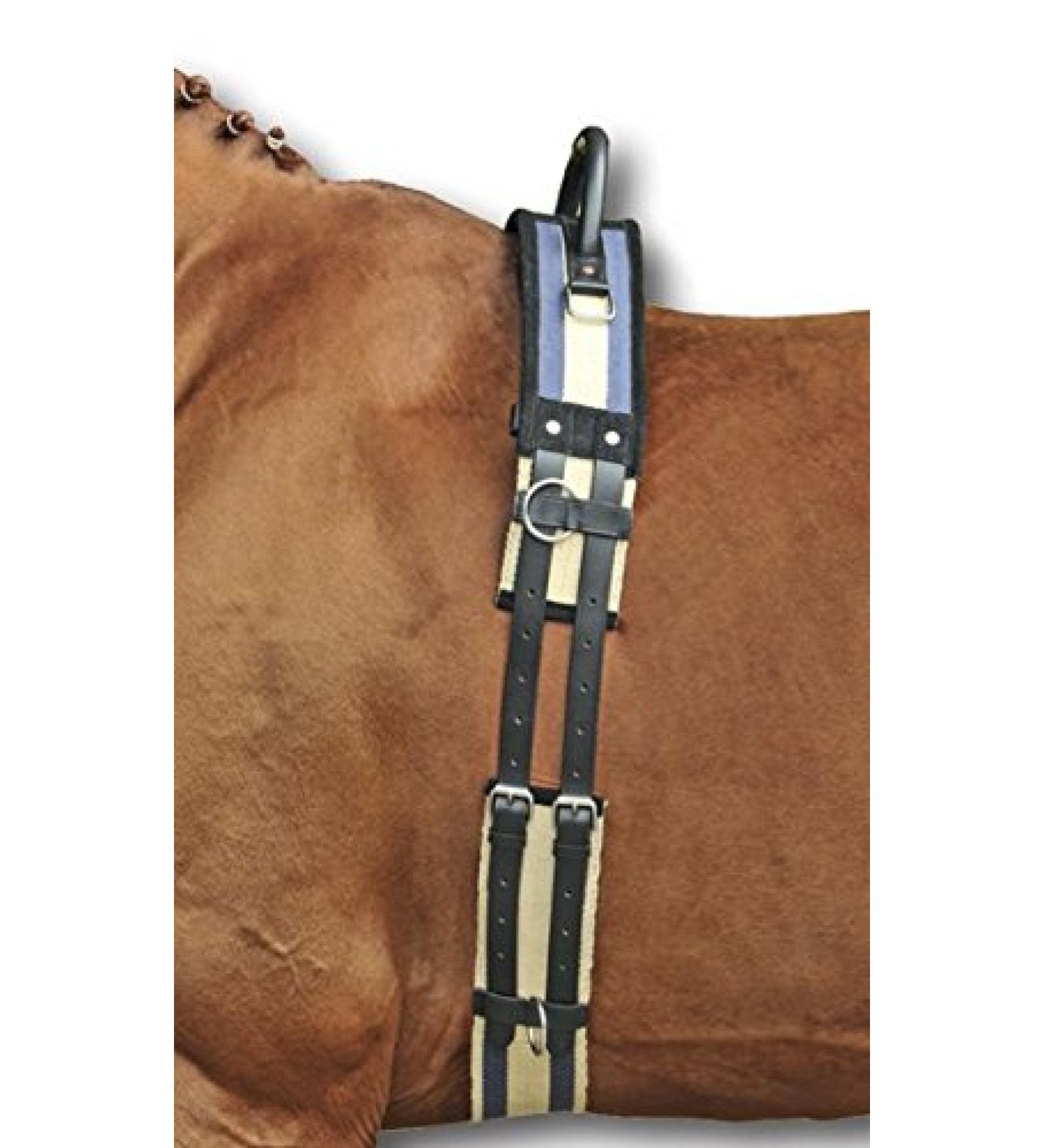 HKM horse lunging girth with handle girth for lunging made of particularly durable canvas material and leather straps | Design: Thoroughbred/Warmblood (Dark Blue-Beige) Thoroughbred/Warmblood dark blue / beige