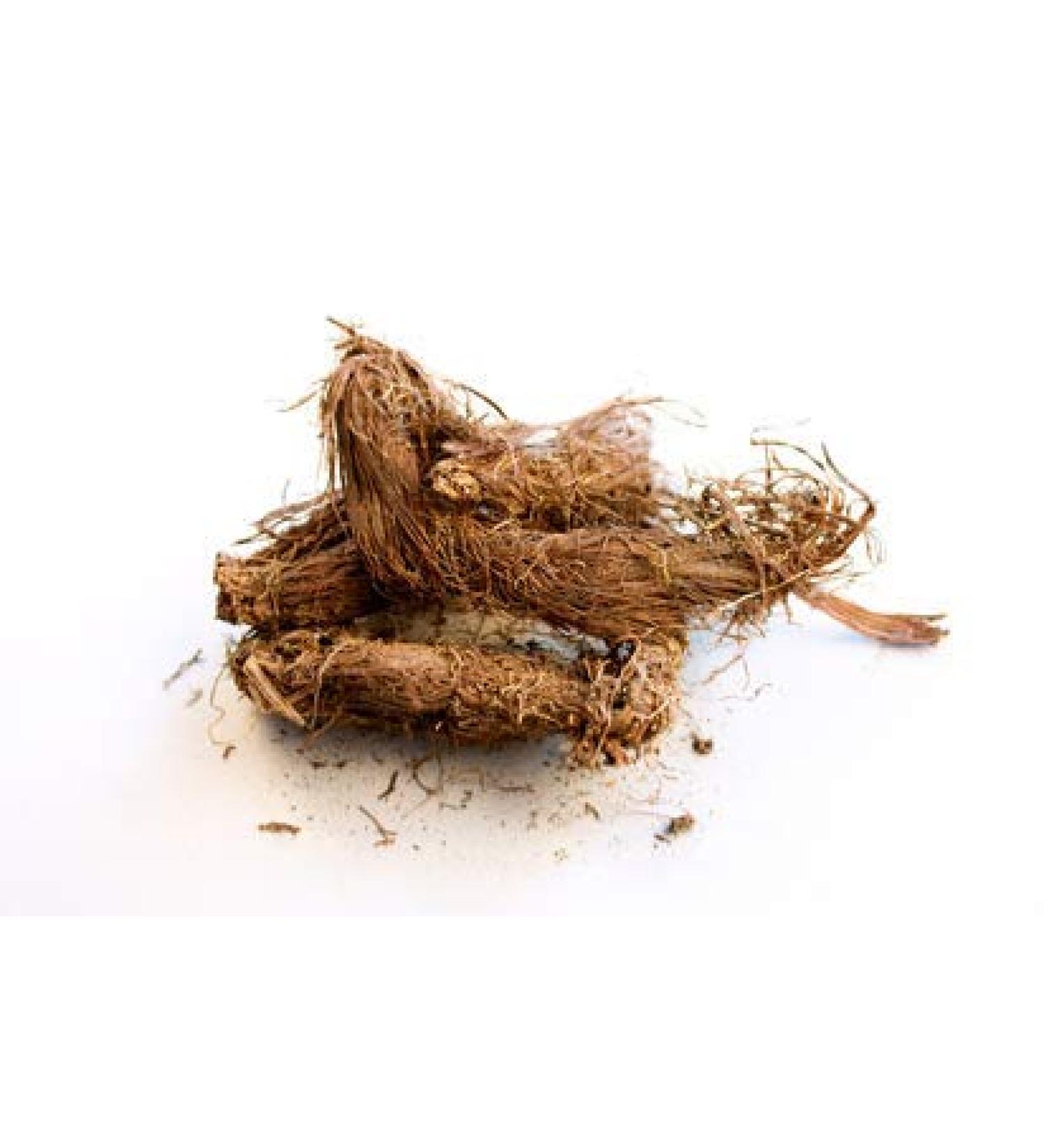 Admart Jatamansi - 100 GMS | Baalchadd - Nardostachys Jatamansi - Nard Indian