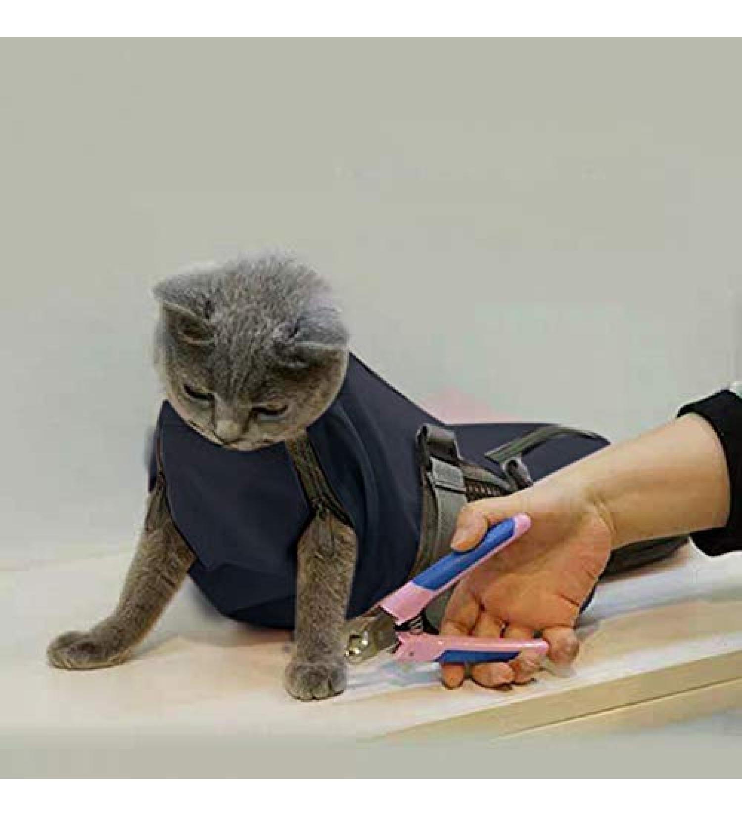 Buy Cinf Cat Retention Bags Perfect Transport & Care Solution for Vet Visits Medicine Admin Dental Care Bathing & Nail Cutting Black - Buy Online on GoSupps.com