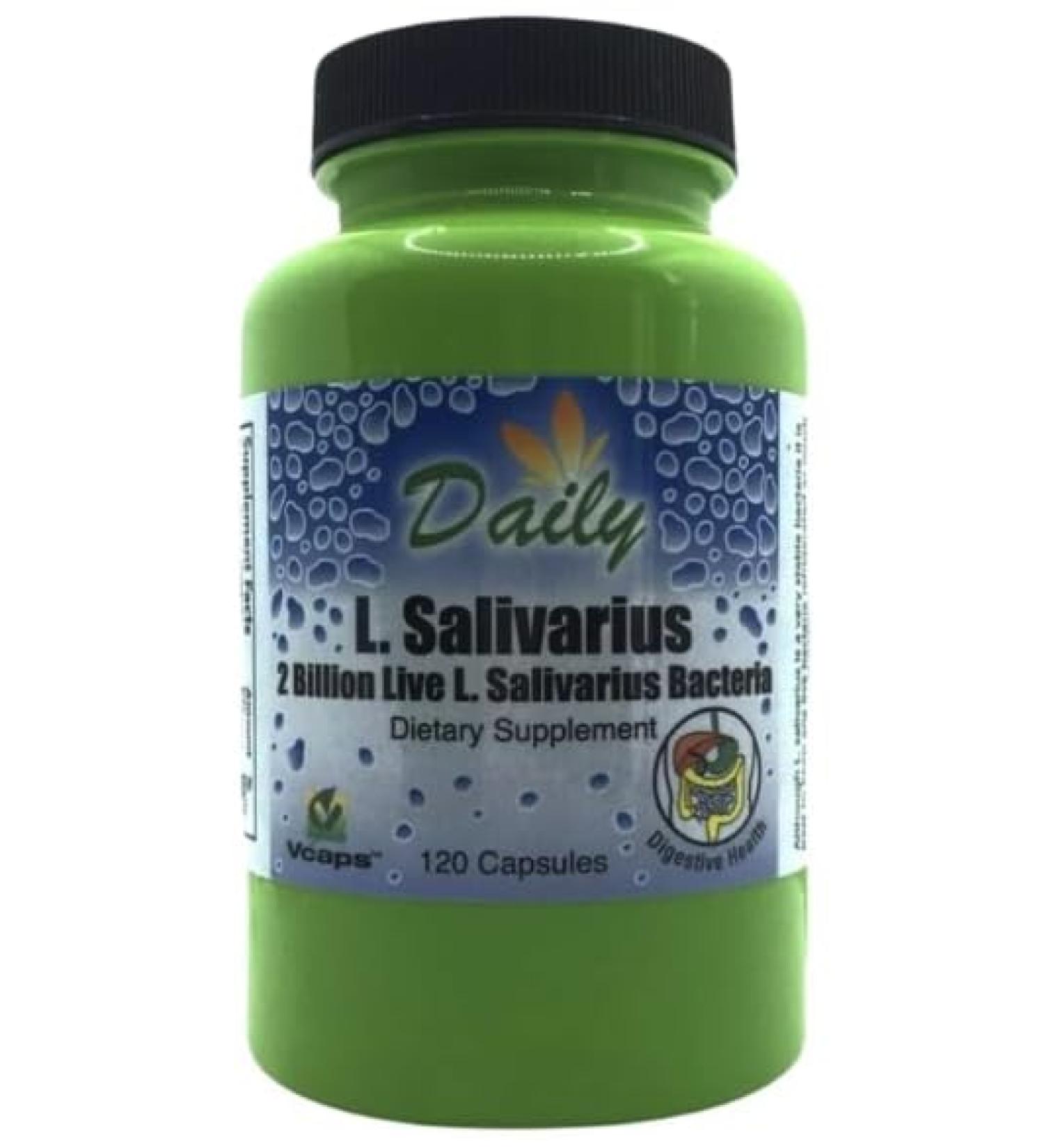 Daily Manufacturing L-Salivarius (Probiotic) 120 Delayed-Release Capsules (Pack of 1) and Pill Box byGeoMetal - Buy Online on GoSupps.com