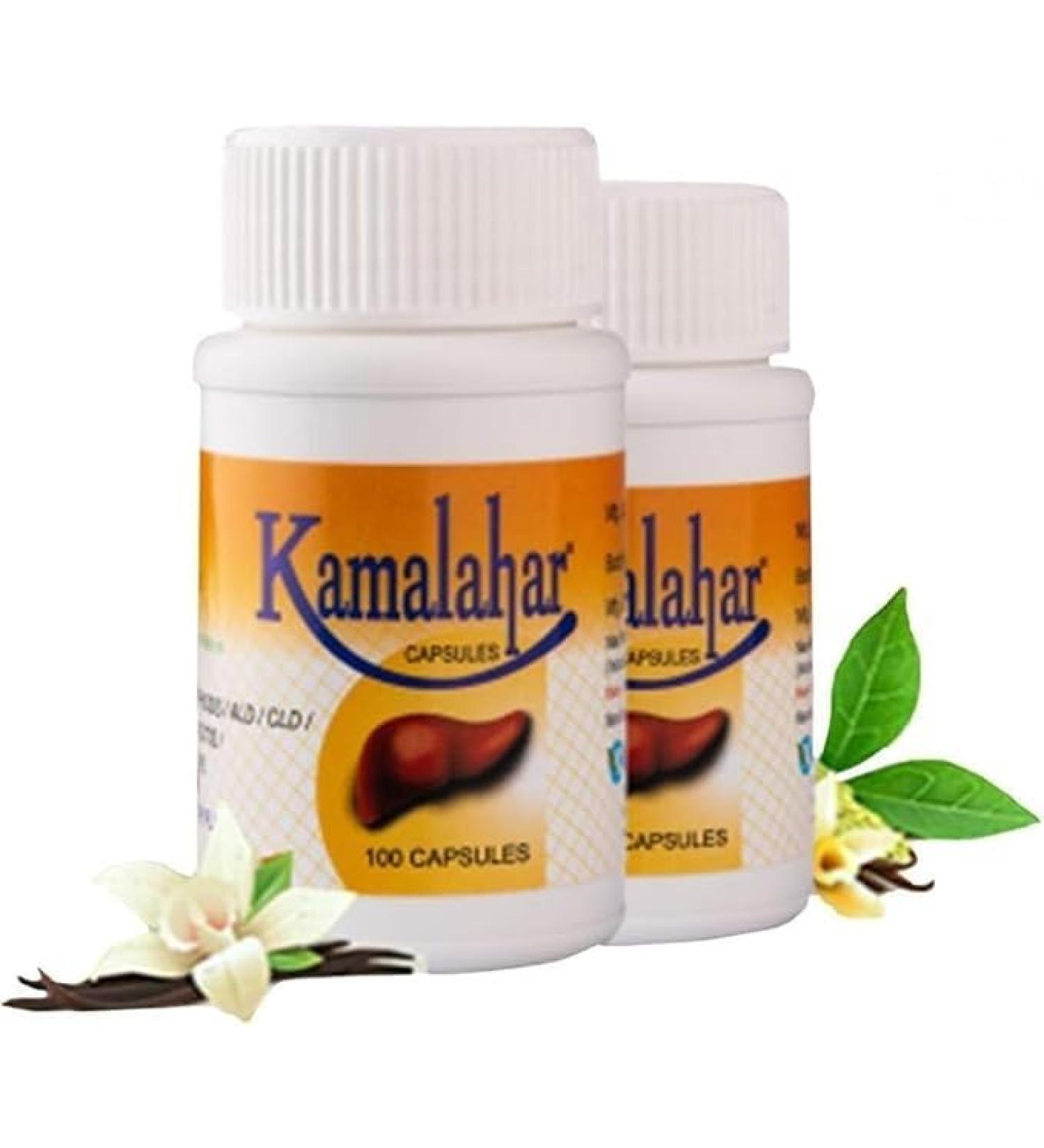 Liver Support Capsules | Ayurvedic Liver Suppot Detox & Rejuvenation Supplement | 100 Capsules | Natural Herbal Care | Pack of 12 100 Count (Pack of 12) - Buy Online on GoSupps.com