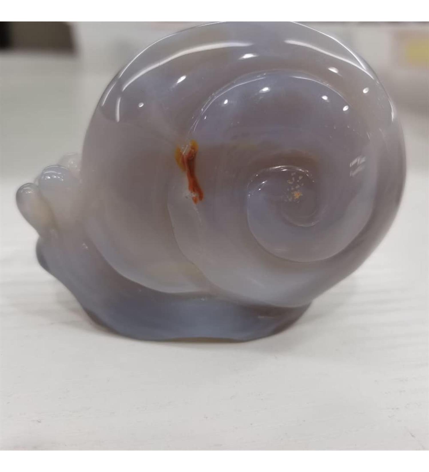 Home Decor Snail Natural Nao Amethyst Crystal Cluster Stone Specimen Home Crafts Decoration Gift Geode Gifts Natural Crystal Draw yuebang Stone Mineral Specimen - Buy Online on GoSupps.com