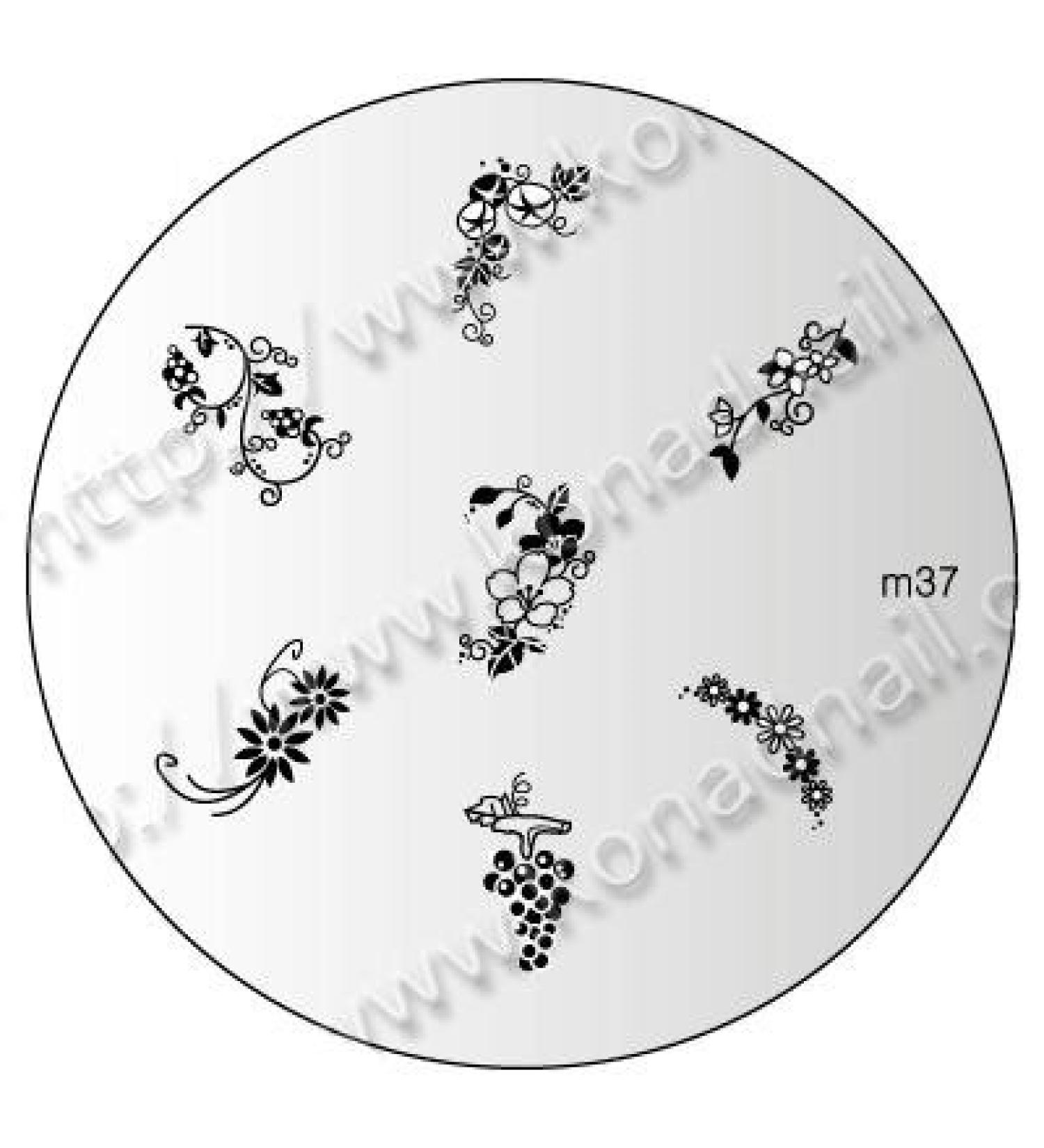 Stamping stencil m37 FLOWERS by KONAD - CUTE NAILS