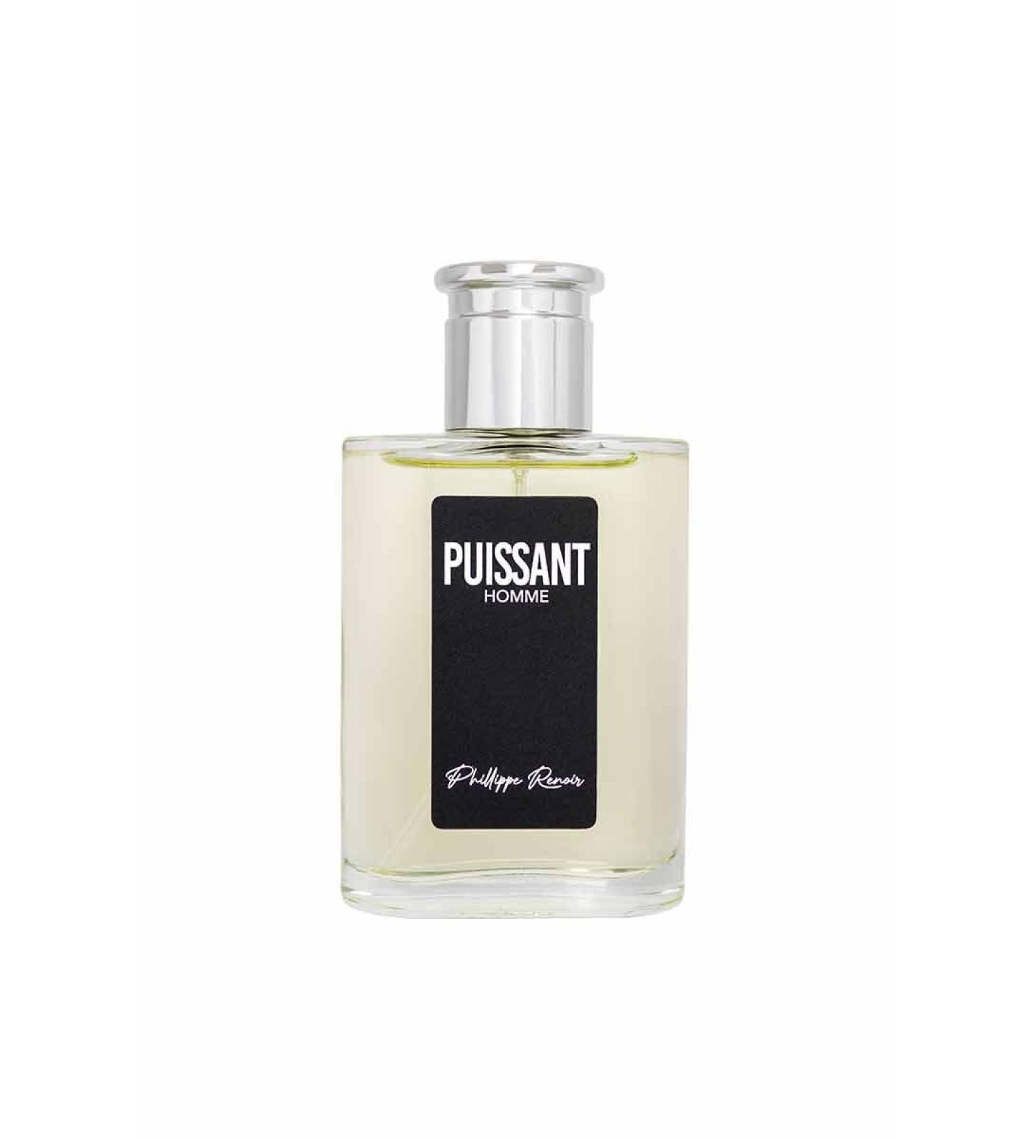 Puissant Parfum For Men