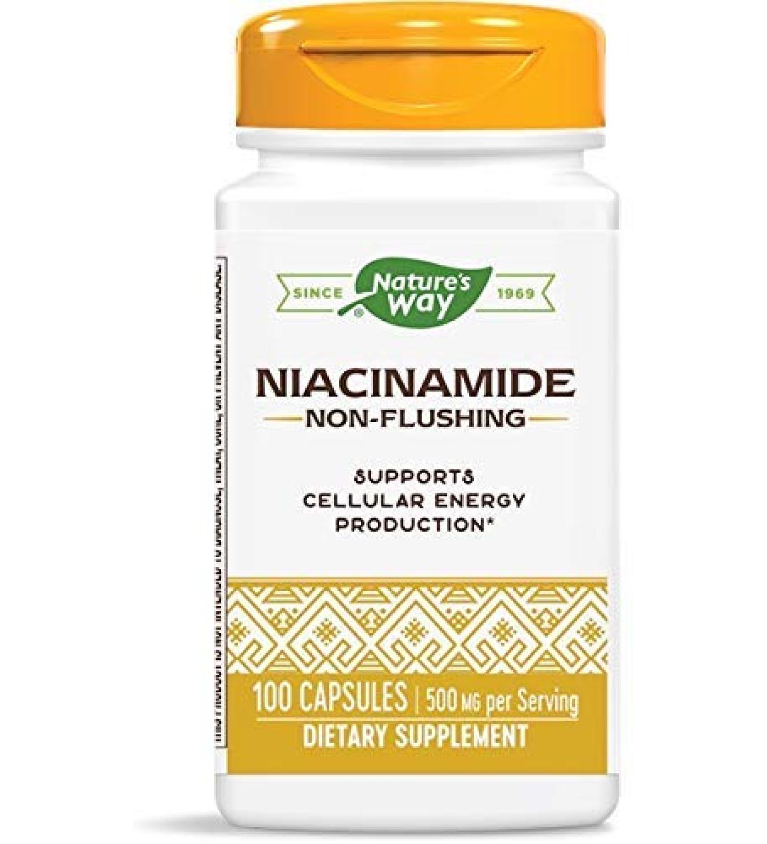 Nature's Way Niacinamide 500mg - Pack of 3 | Triple Pack for Skin Health and Wellness - Buy Online on GoSupps.com