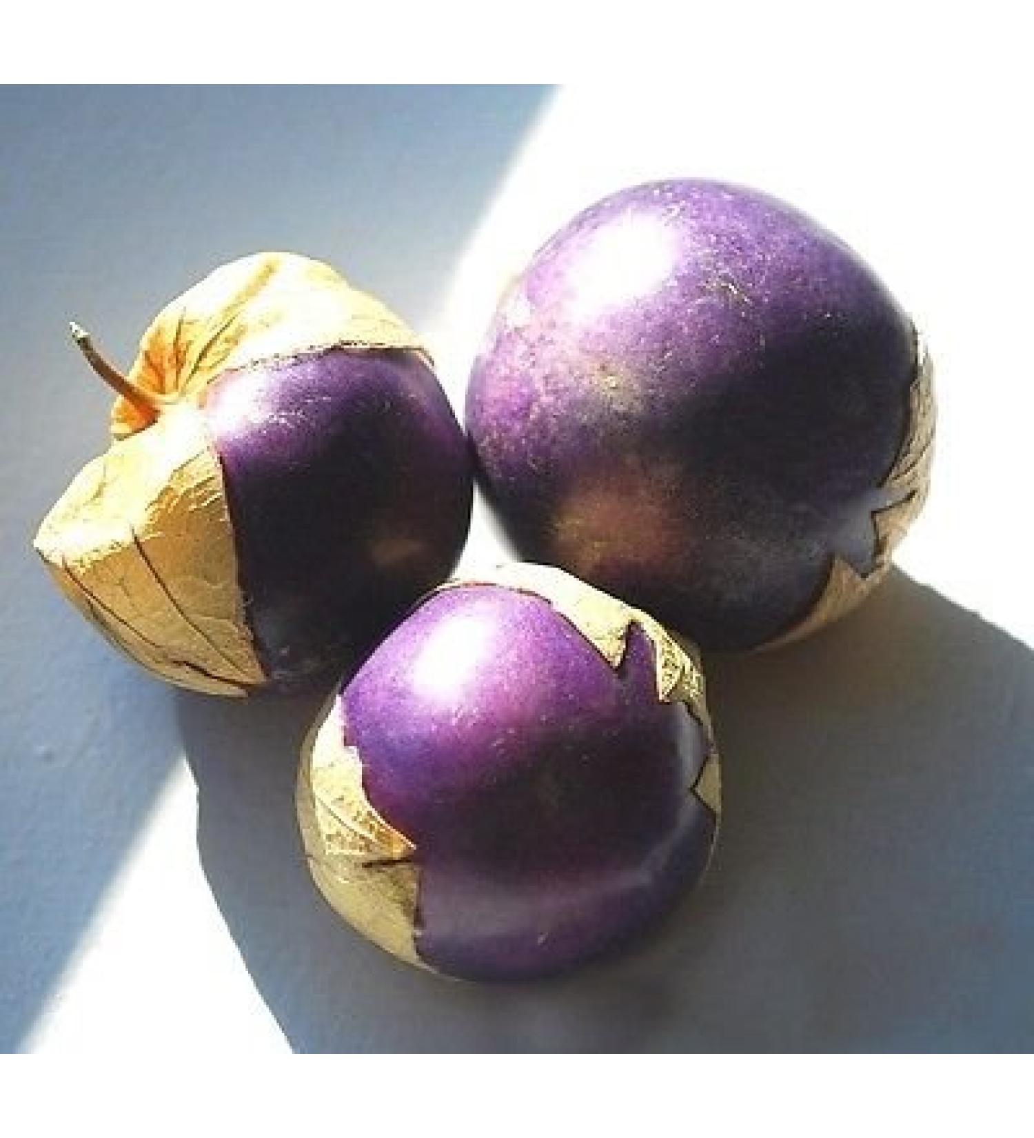 Viola Tomatillo Physalis Ixocarpa Salsa insalata di Verdure 100 semi - Buy Online on GoSupps.com