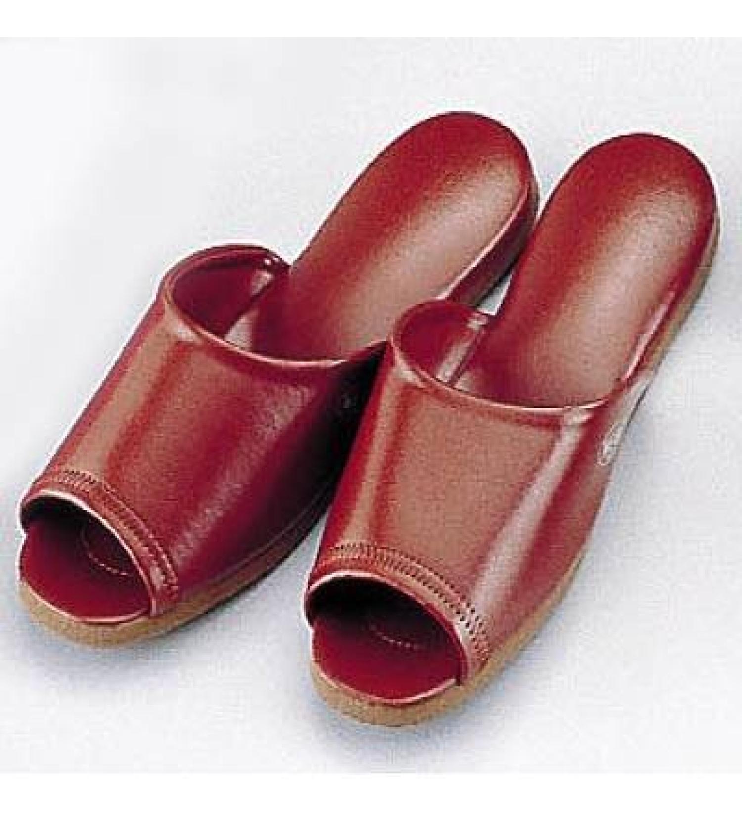 DX slippers M Brown SSK-5242 Fall antibacterial before (japan import)