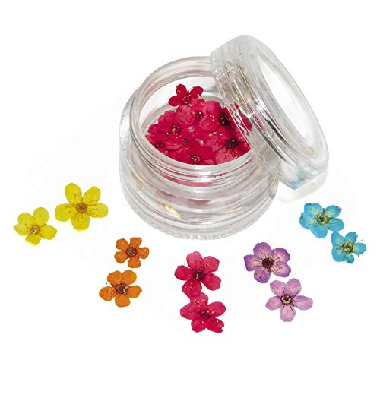 A4N AKTIVE4NAILS Real flowers to insert into gel or varnish