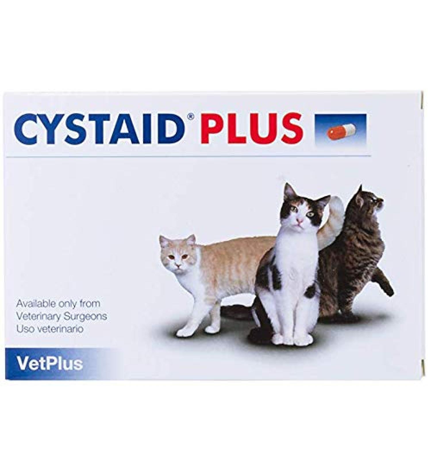 Cystaid Plus: Premium Urinary Health Supplement - International Shipping Available - Buy Online on GoSupps.com