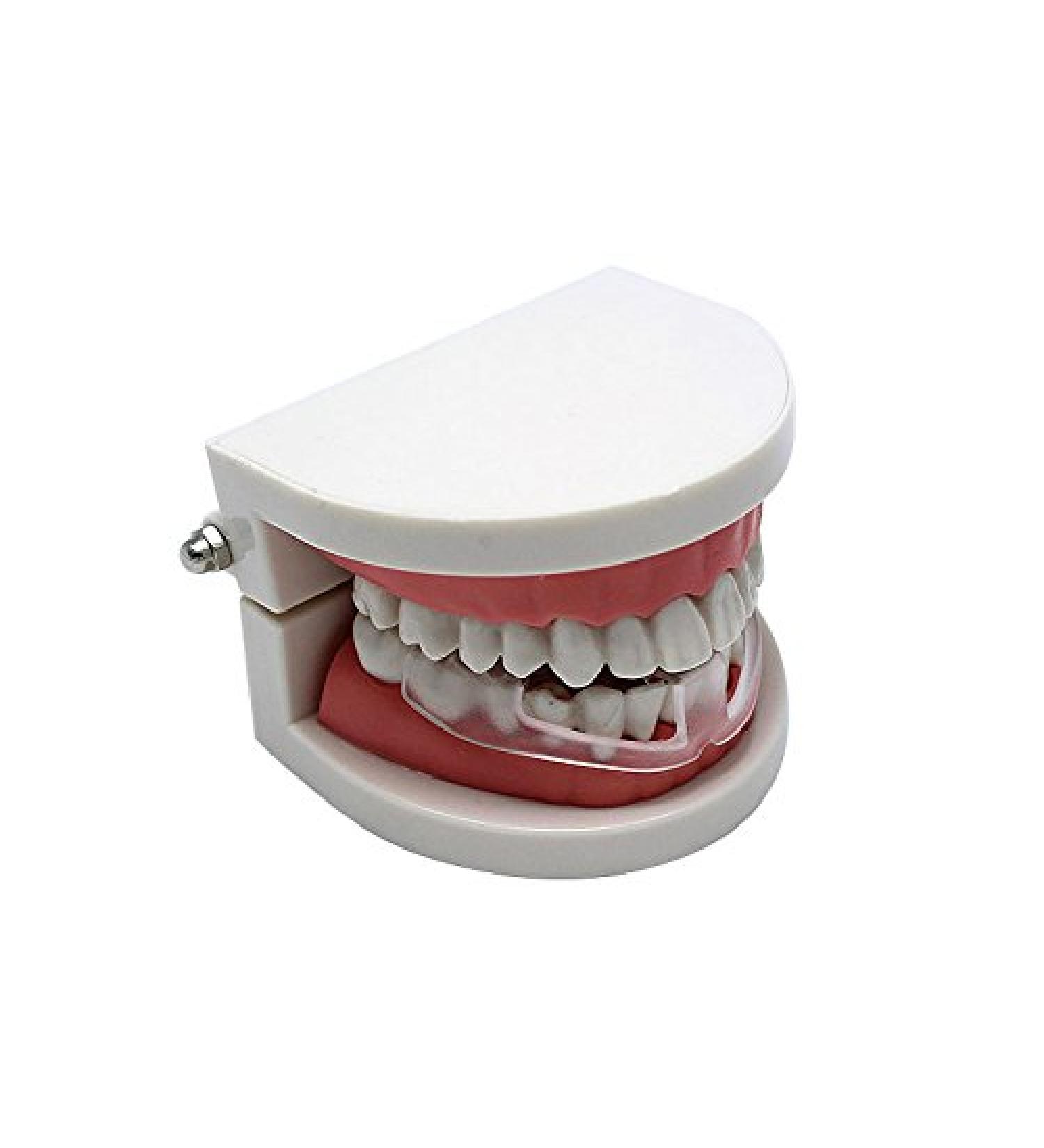 CHAW Tooth Protector Dental Night Oral Protector Sleeping Oral Protector For Bruxism Relief 1 PCS - Buy Online on GoSupps.com