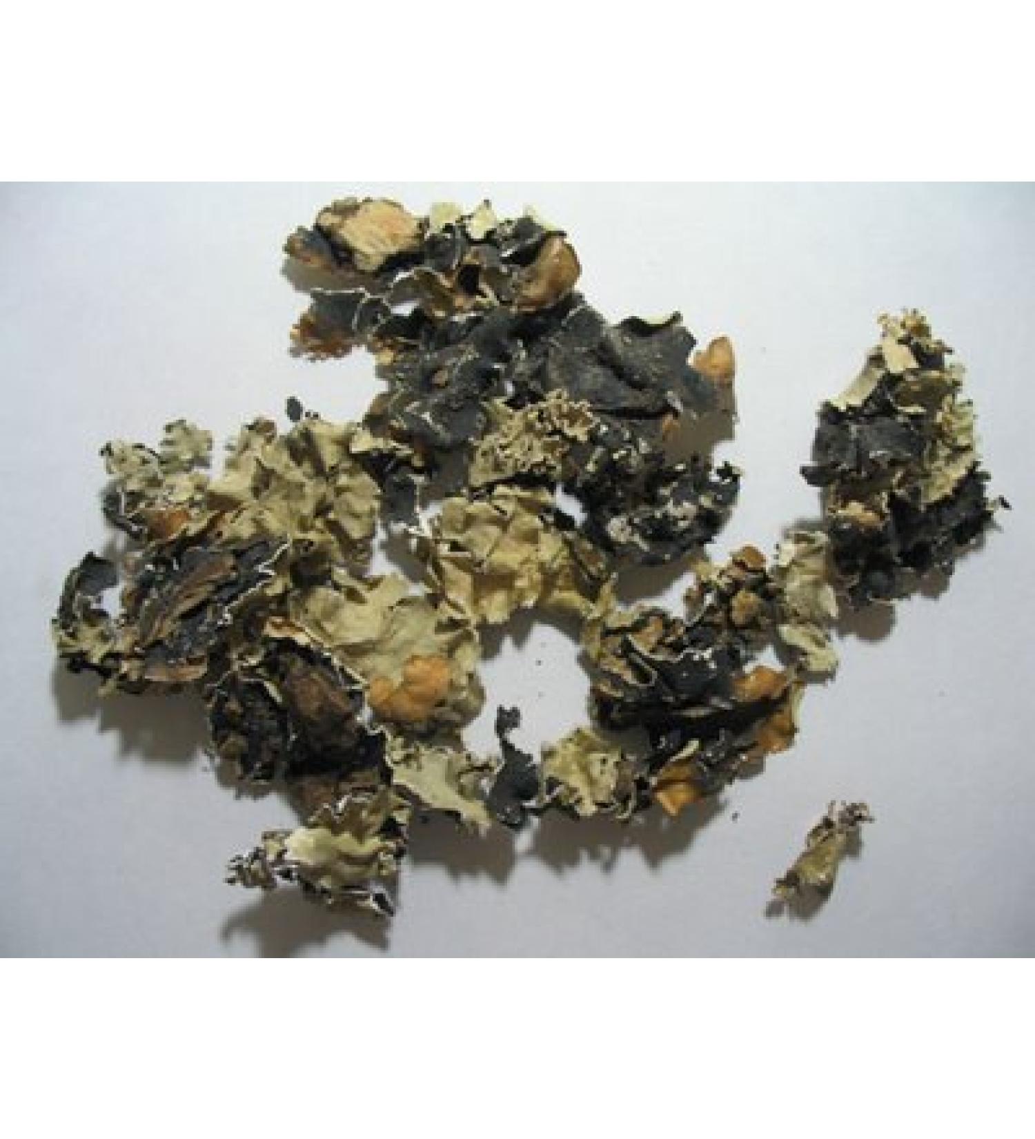 Dagad Phool (Pathar Phool) or Black Stone Flower 50gram