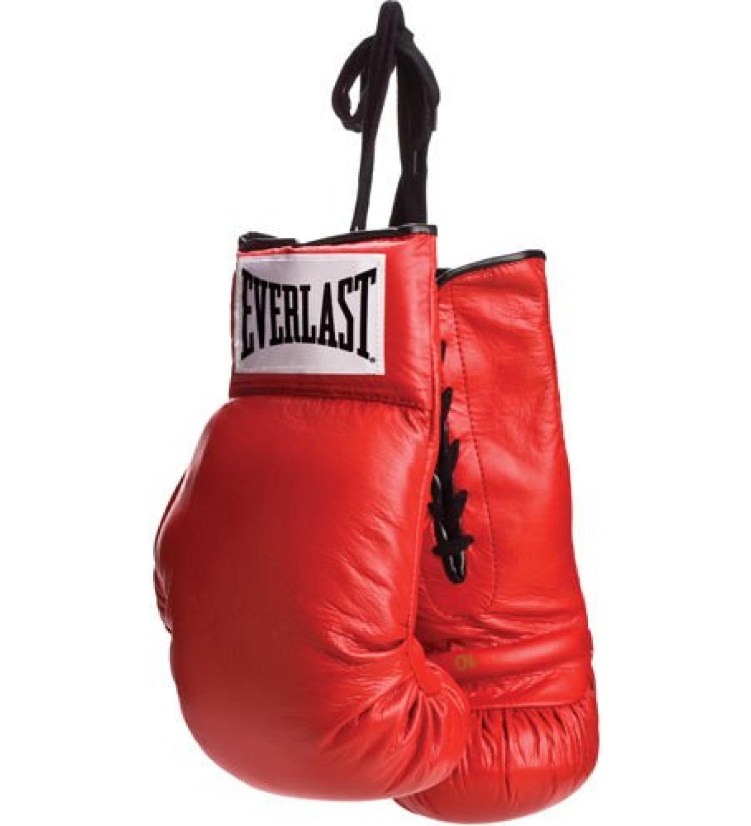 Everlast Vinyl Pair of Red Boxing Gloves - Great for Autographs
