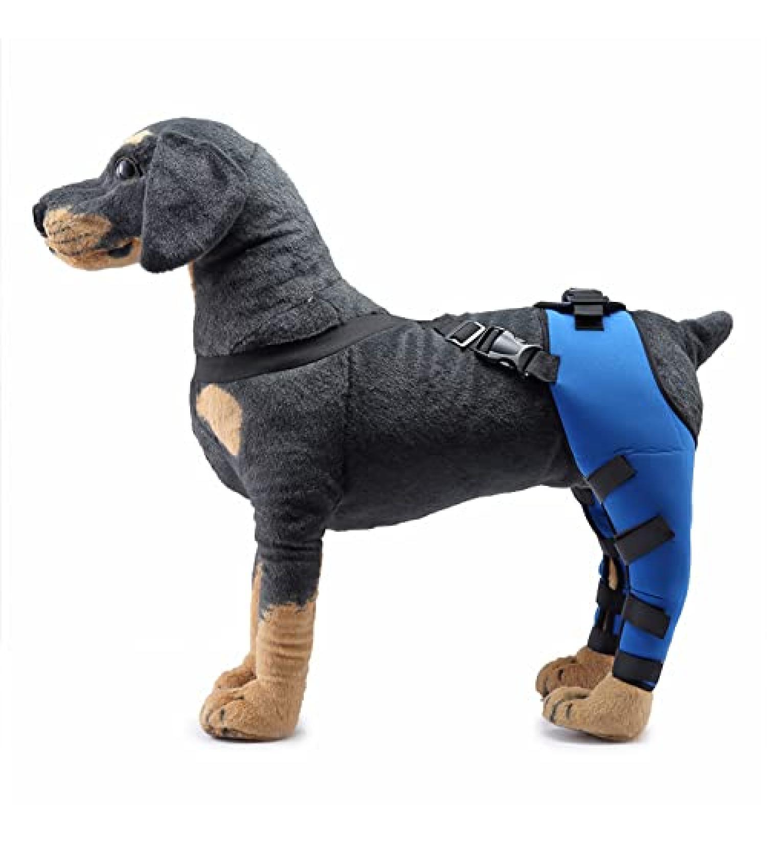 Pet Dog Knee Brace ACL Brace for Dogs Rear Leg Dog Braces for Back Leg for Support for Heals Prevents Injuries Sprains Blue Medium Medium Blue - Buy Online on GoSupps.com