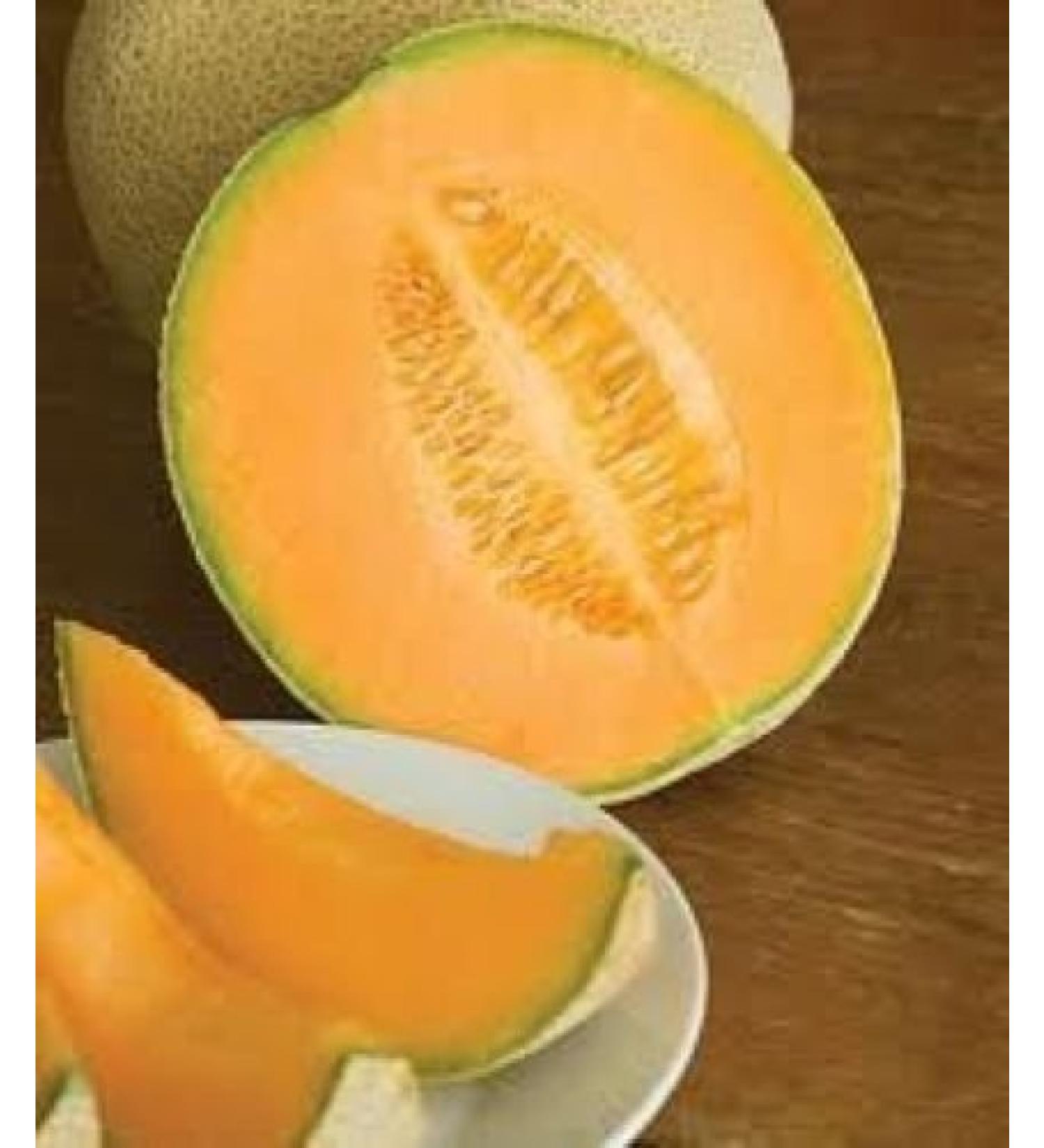 35 Hales Best Jumbo Cantaluupe 2017 (All Non-ogm semi-cimel Vegetable!) - Buy Online on GoSupps.com
