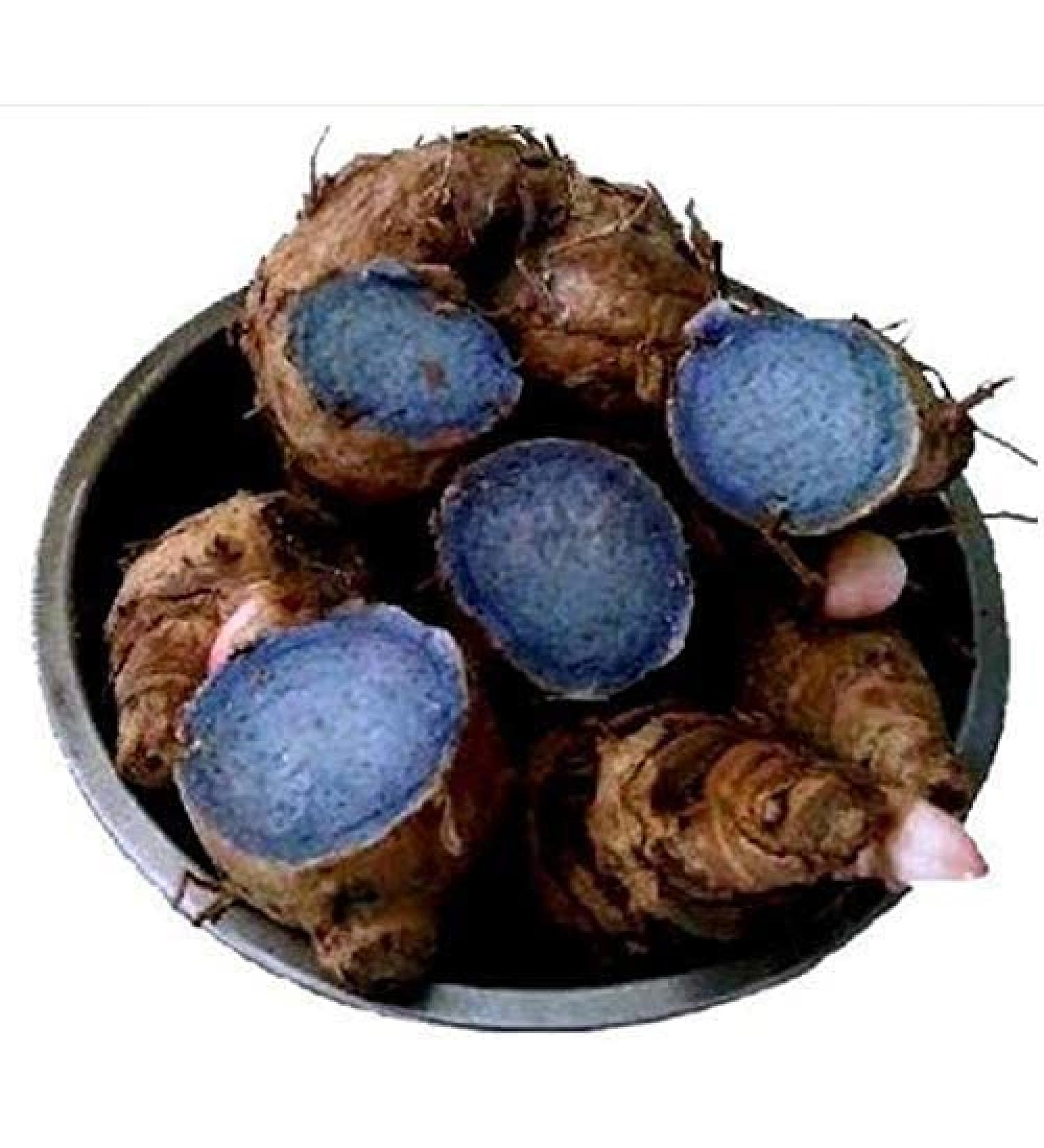 JARA Valli Organics Karu Manjal Black Turmeric 100gm