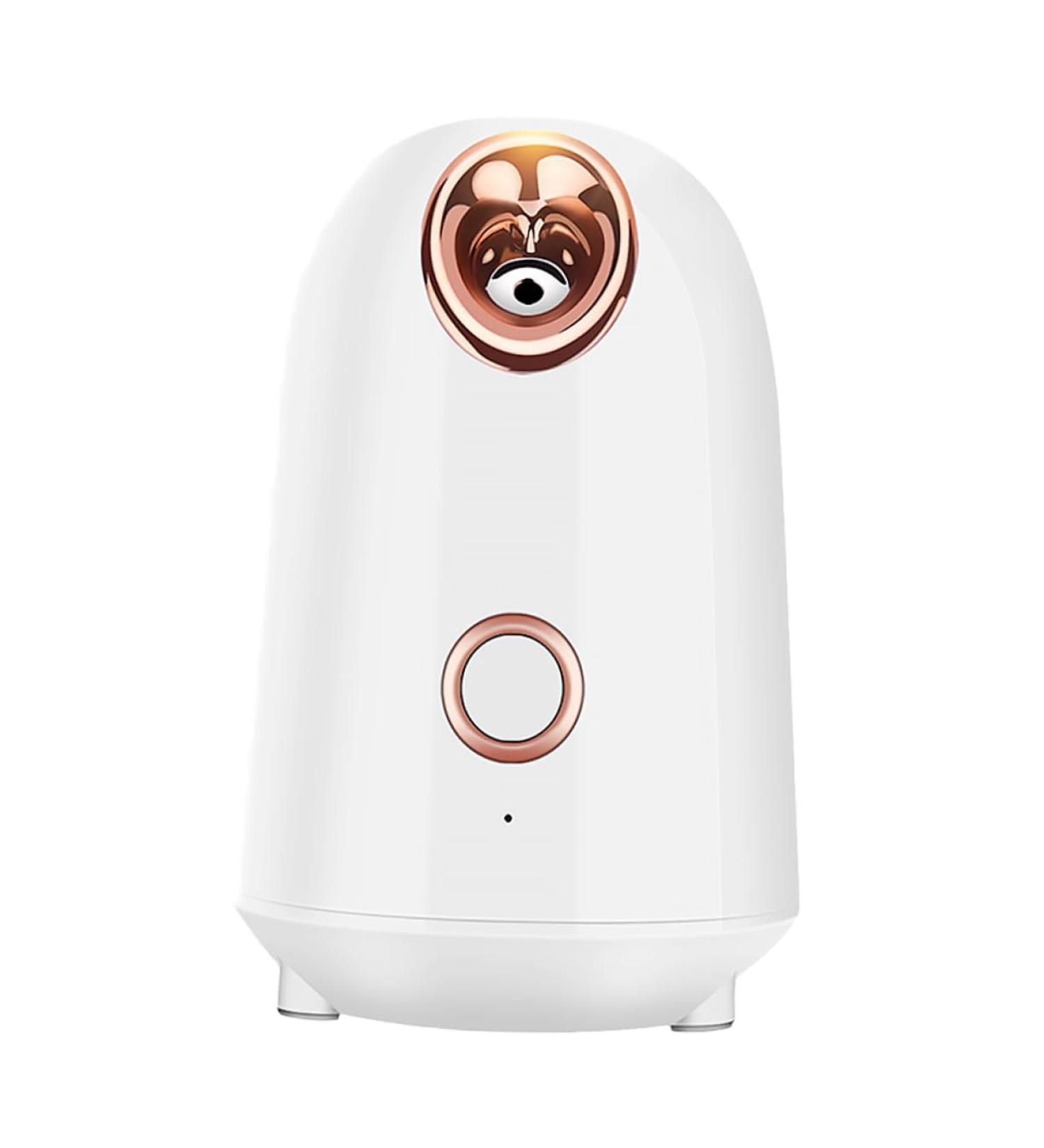 Beavorty Water Replenishing Instrument Steamer Humidifiers for Home Face Spa Device Abs Sprayer White Care - Buy Online on GoSupps.com