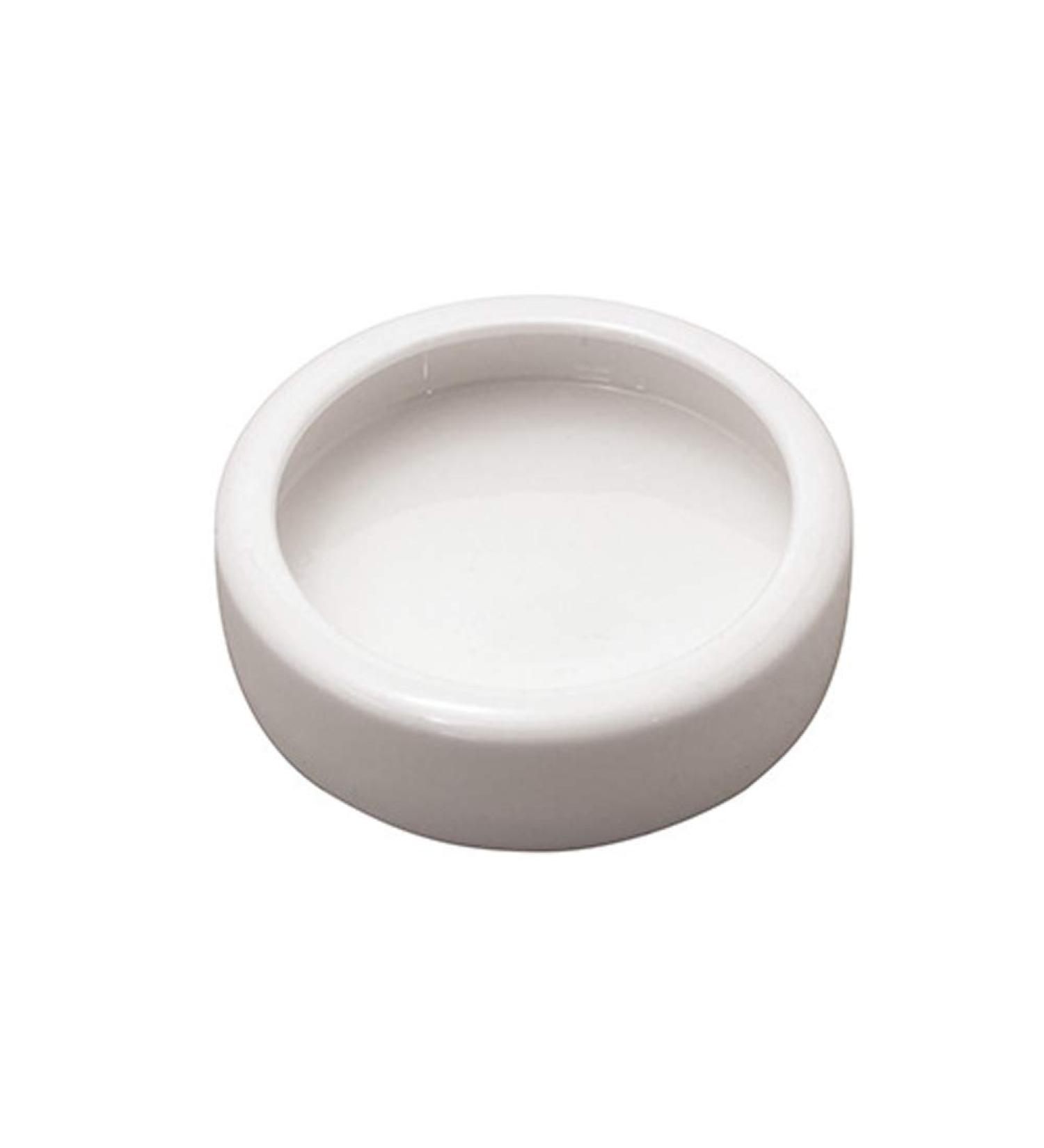 Reptile Food Water Dish Worm Bowl Mealworm Feed Feeder Mini Reptile Food Bowl Ceramics Made (M) M (Pack of 1) - Buy Online on GoSupps.com