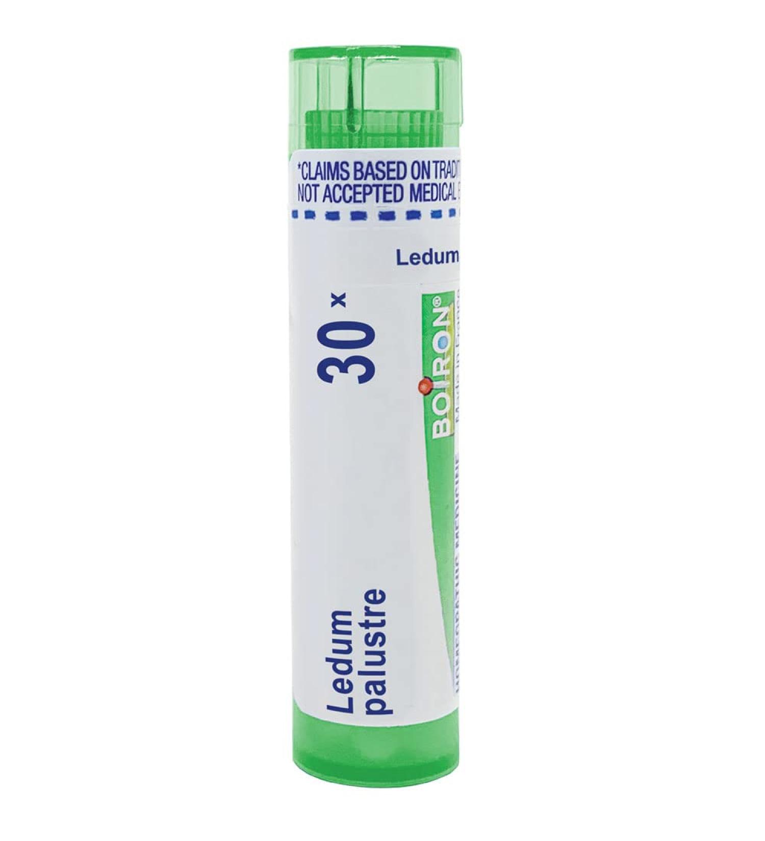 Boiron Ledum Palustre 30X 80 Pellets for Insect Bites & Bruises | Fast International Shipping - Buy Online on GoSupps.com