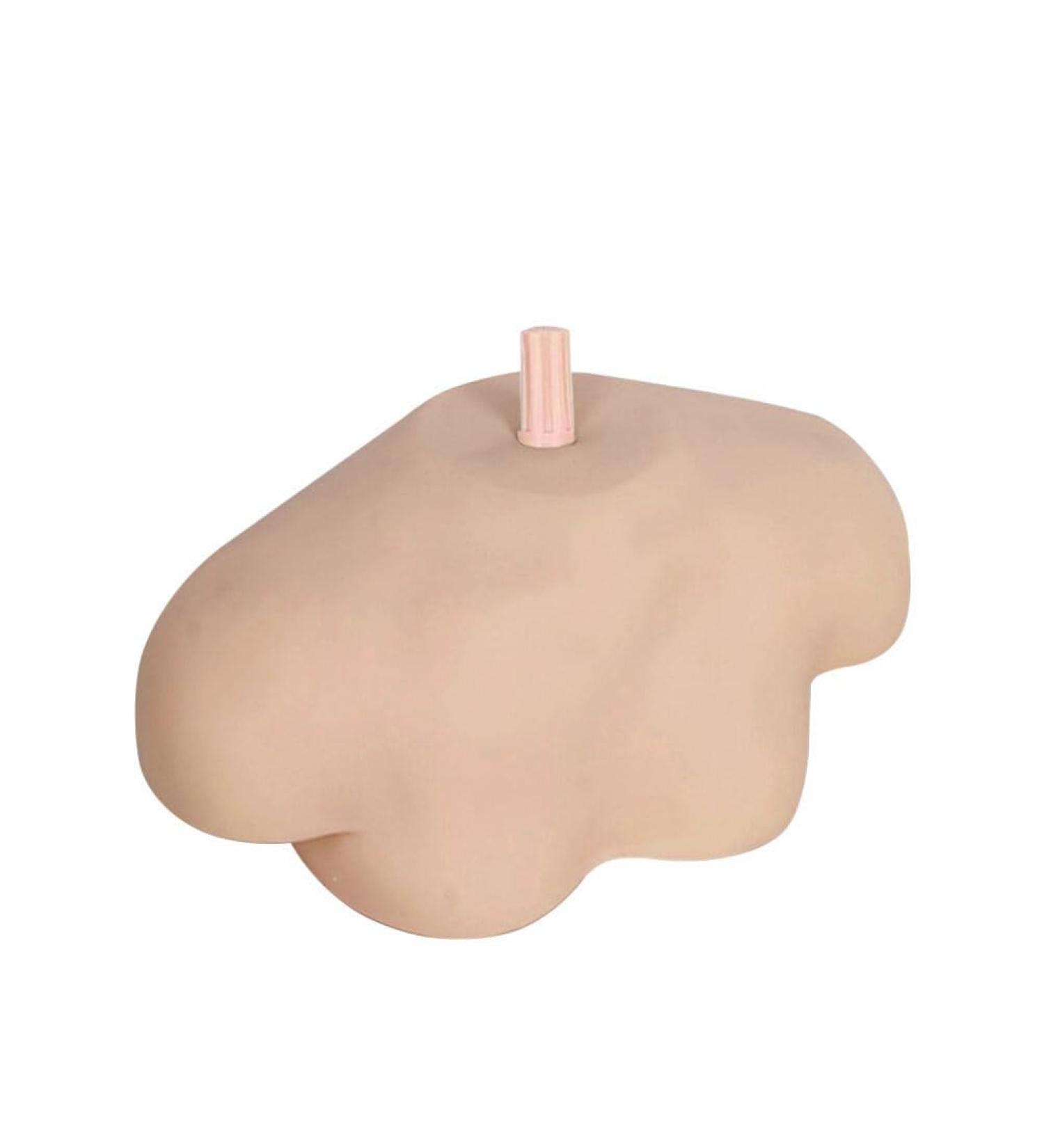 Fomiyes Female Mannequin Doll - Cosmetology & Hairstyling Practice Head Model for Hairdressers - Buy Online on GoSupps.com