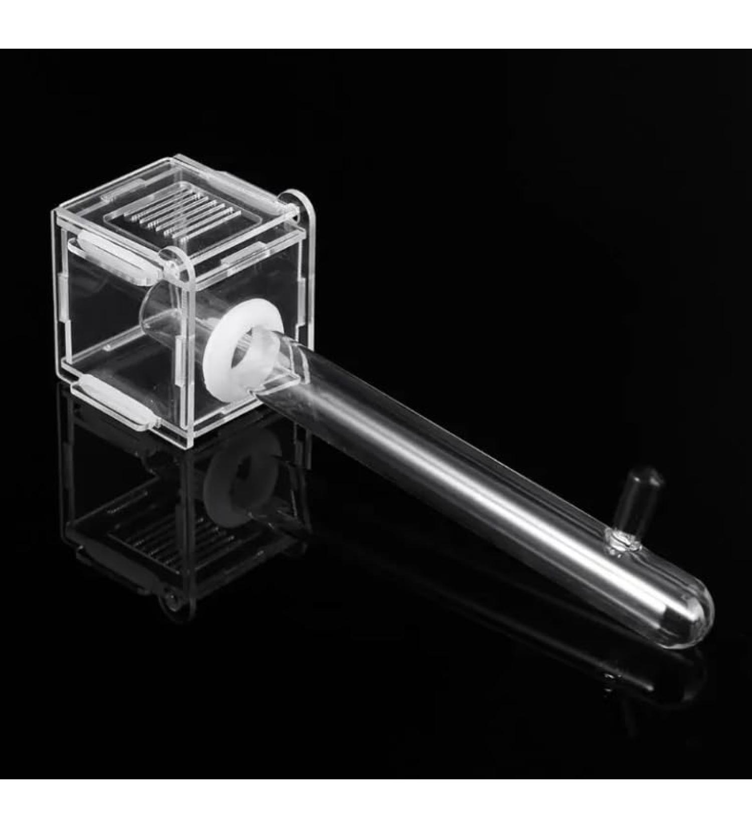 Bug Box Queen Ant Nest Start Colony with Feeding Area - Buy Online on GoSupps.com