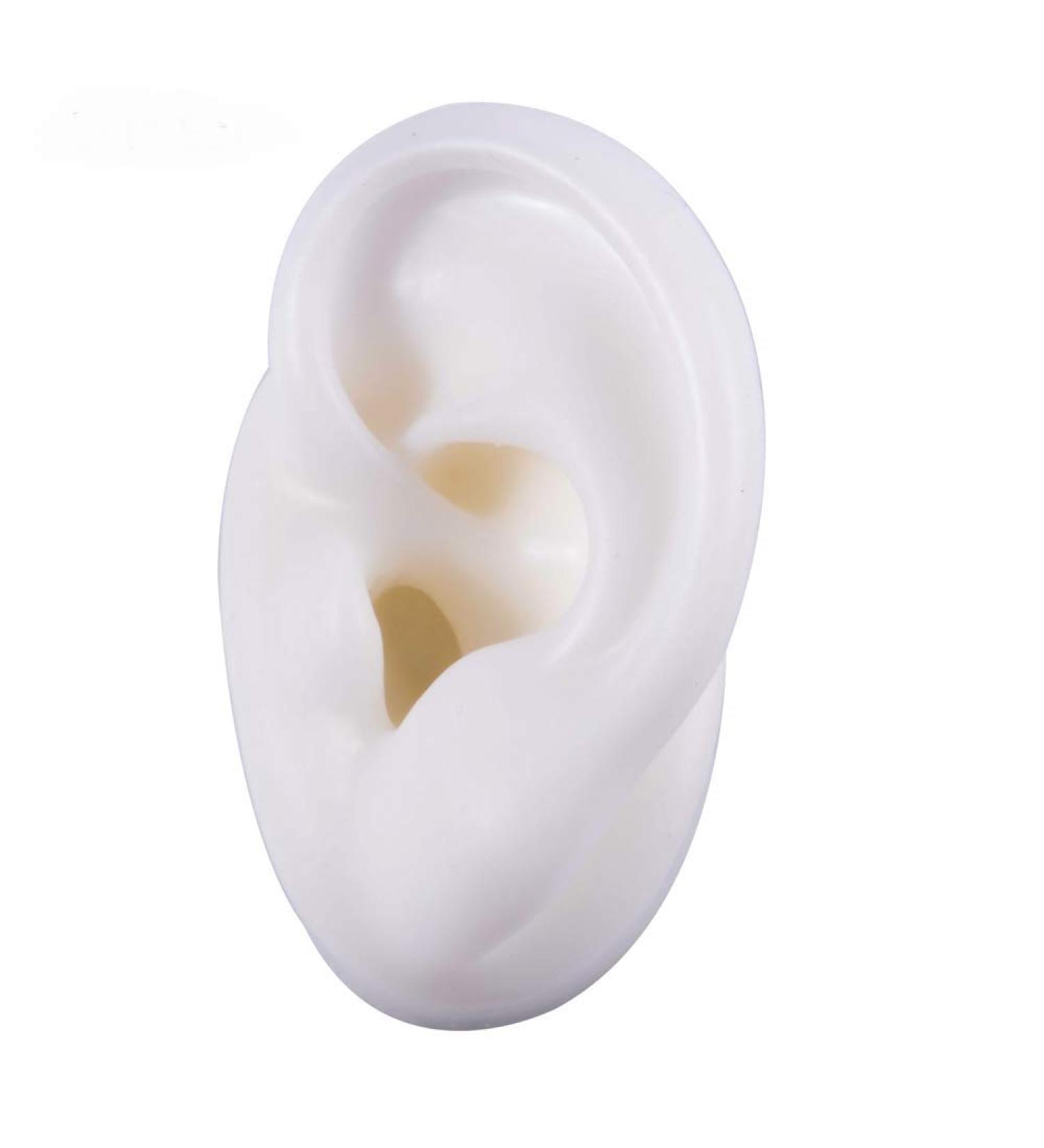 HUNIU Silicone Human Ear Model Earring Display Tool - White Left Ear for Hearing Aid Practice - Buy Online on GoSupps.com