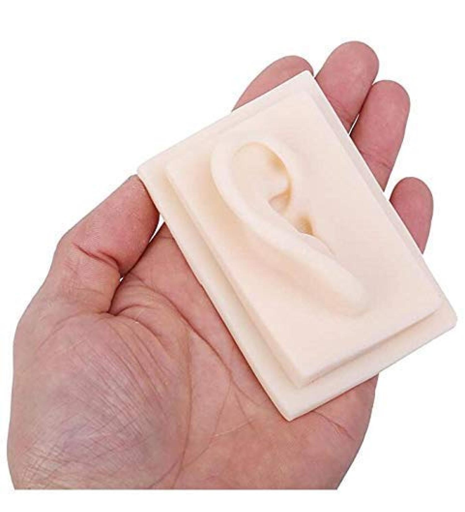 Silicone Ear Template for School Acupuncture Treatment Kit 1: 1 Nature Silicone Ear Template 1 Pair for Presentation Tool right ear - Buy Online on GoSupps.com
