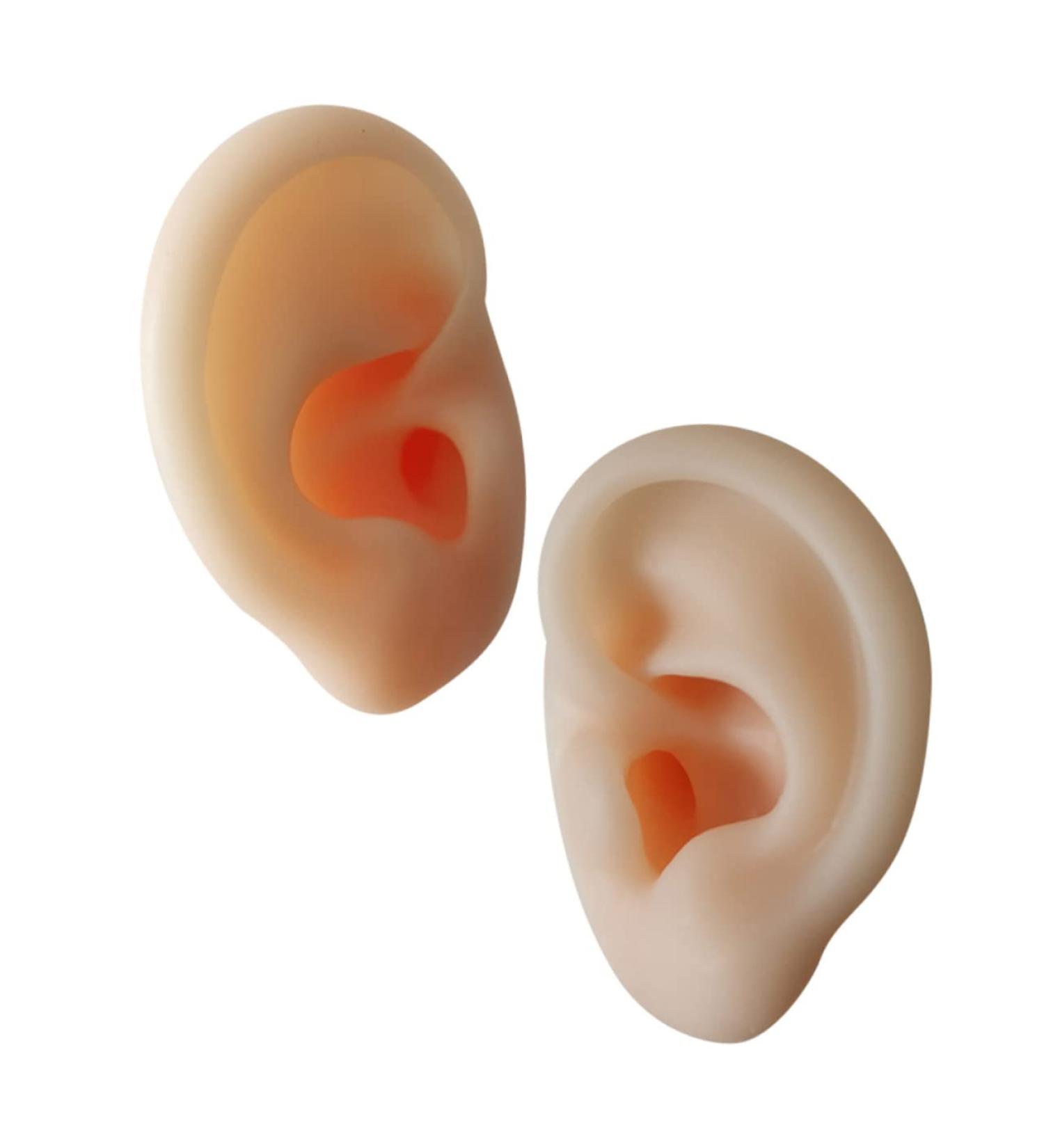 Ciieeo Silicone Ear Picking Tunnels - Teaching & Practice Tool for Realistic Ear Simulation - Buy Online on GoSupps.com