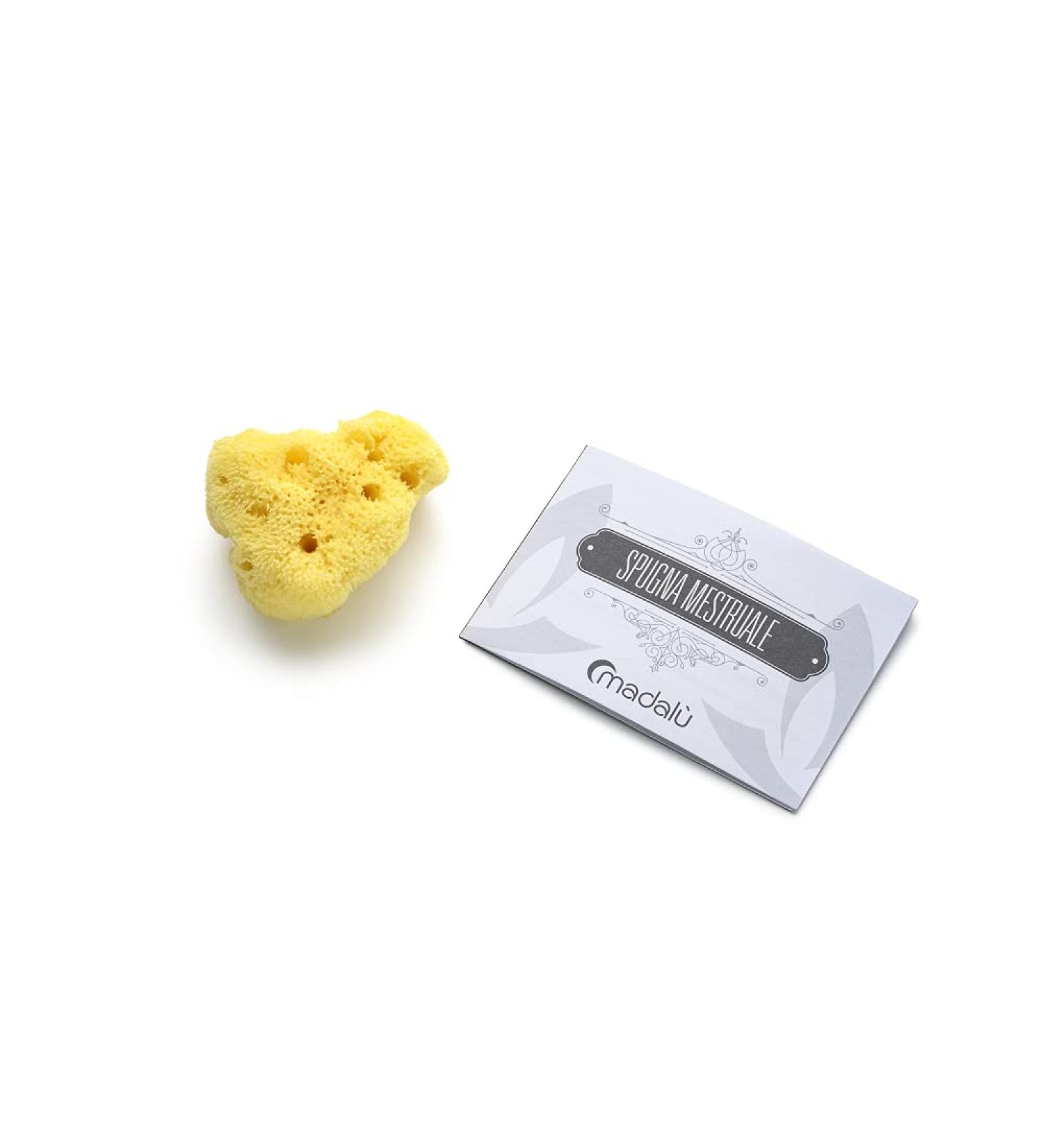 Sponges of natural sea of the Mediterranean menstrual cycle size S.