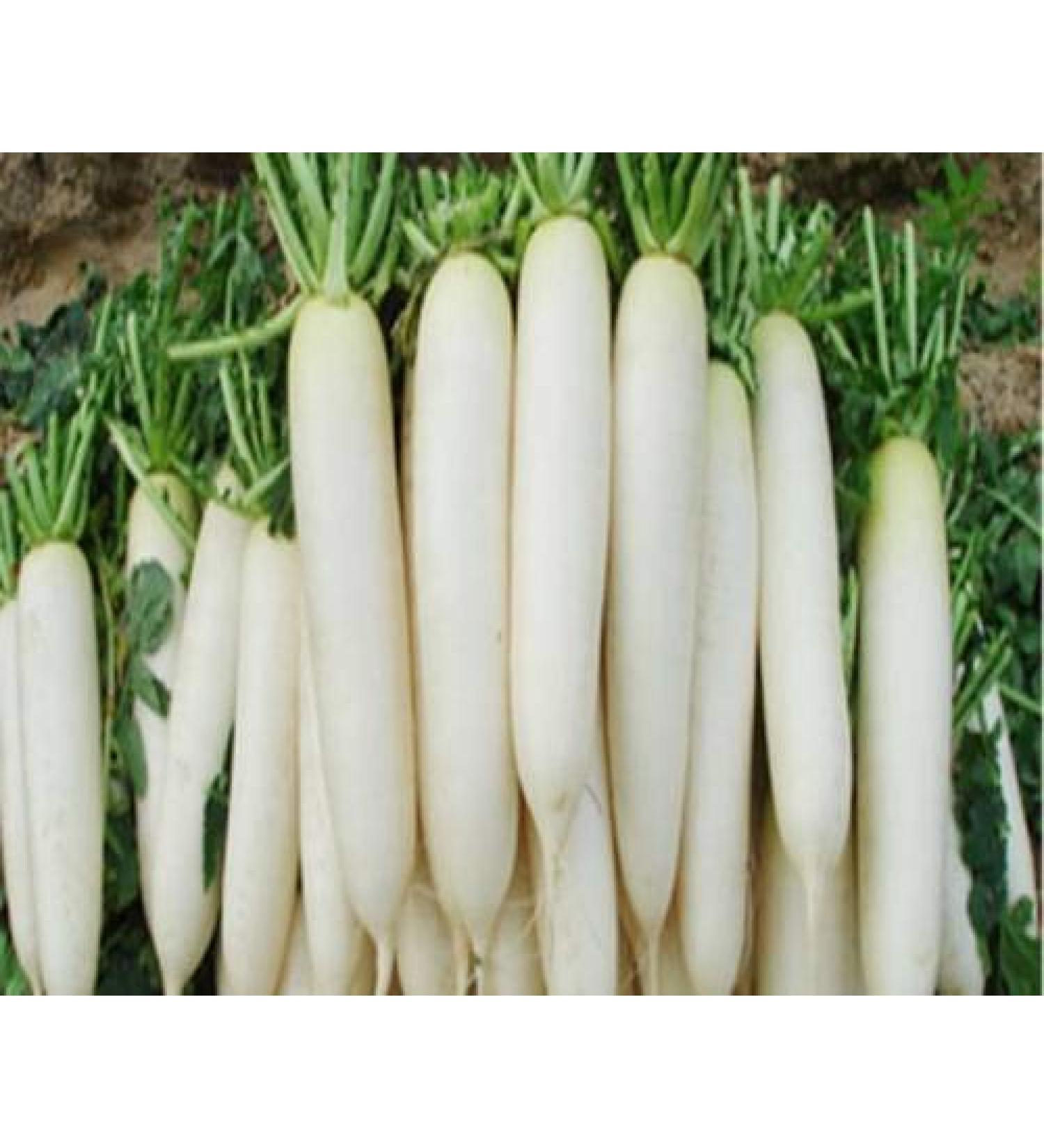 Seedsown Radish
