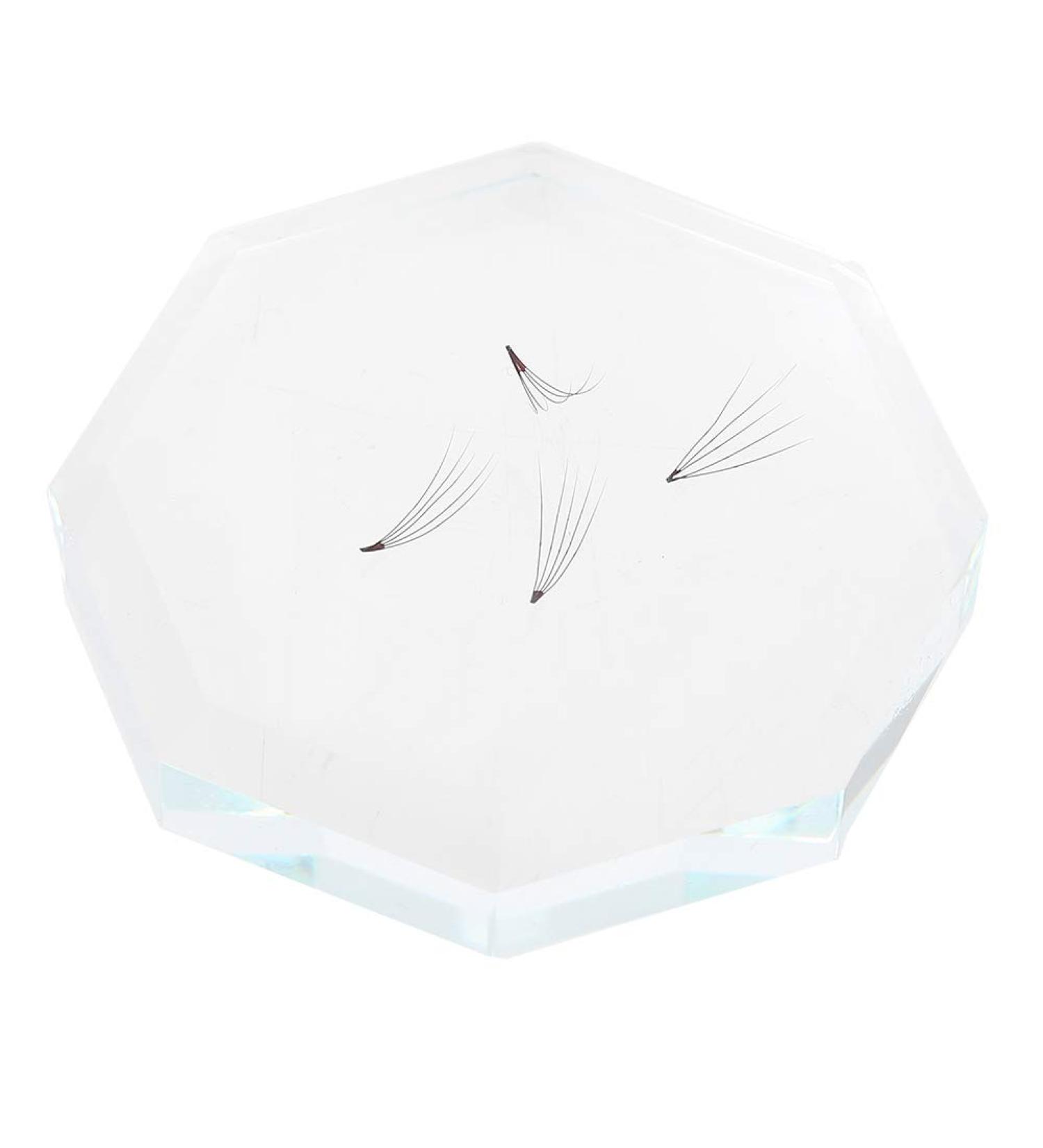 Glass False Eyelash Adhesive Glue Dish Lashes Grafting Pads Eyelash Glue Mixing Dish for Holding Eyelashes During Extension Application - Buy Online on GoSupps.com