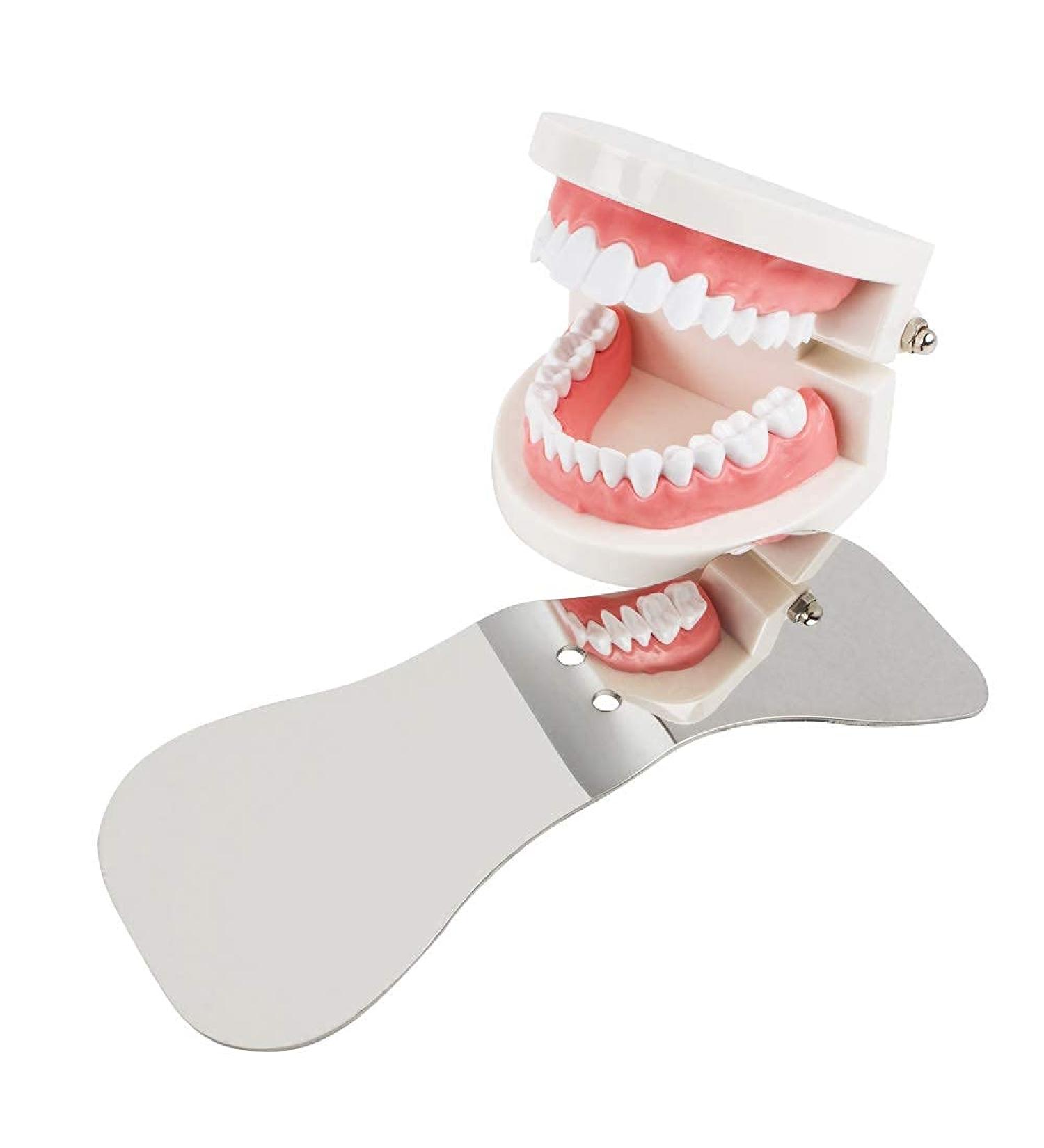 Orthodontic Stainless Steel Tooth Mirror for Intraoral Photography - U.S. Delivery in 5 Days - Buy Online on GoSupps.com