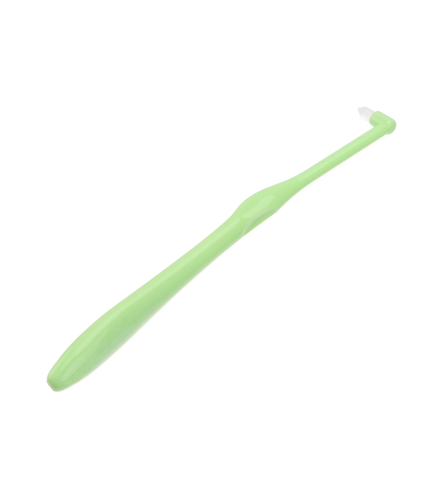 GANAZONO 2 Pcs Pet Single Head Toothbrush Puppy Gentle Toothbrush Dog Toothbrush and Toothpaste Plastic - Buy Online on GoSupps.com