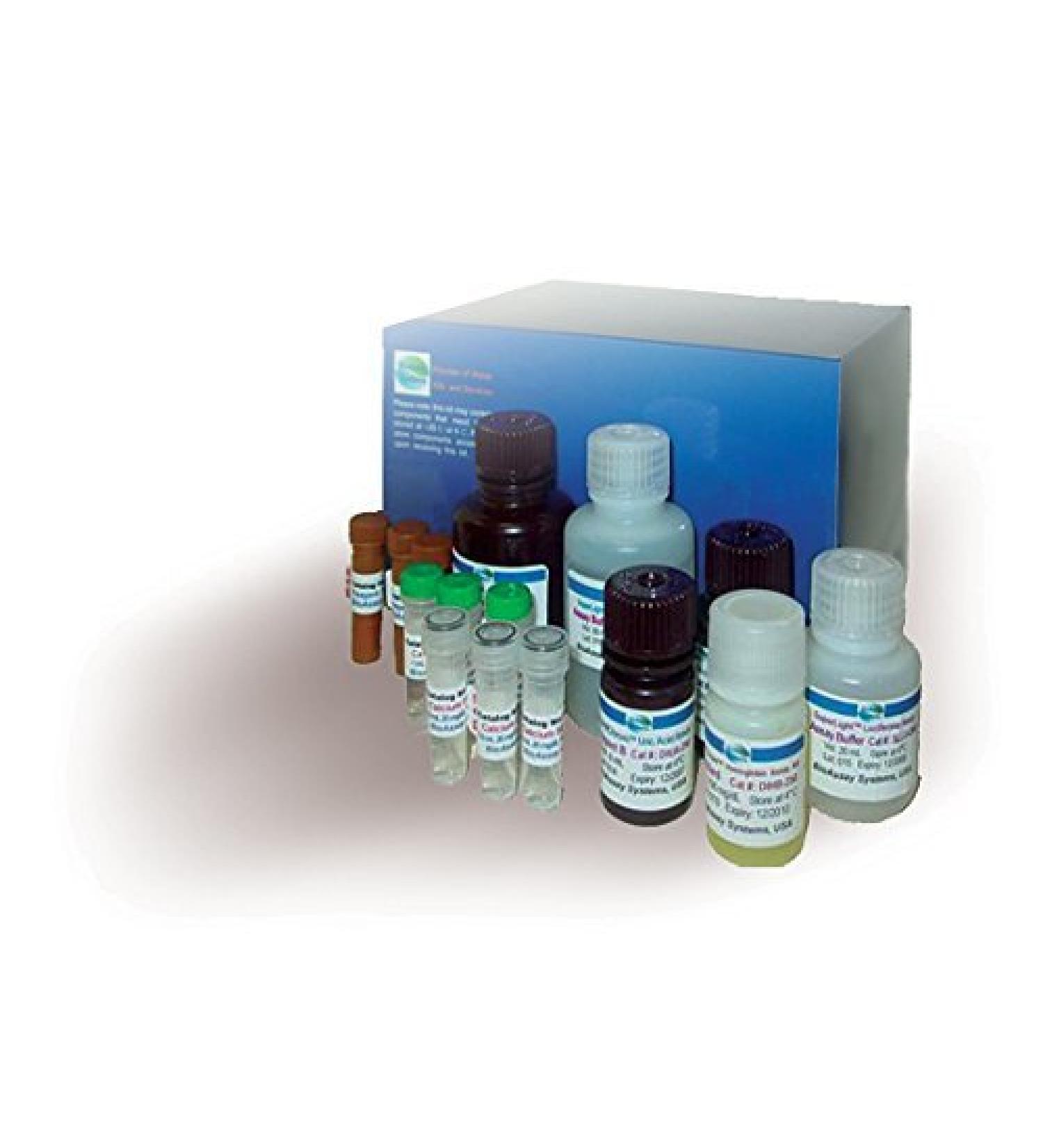 Glucose Assay Kit III (EGL3-100)